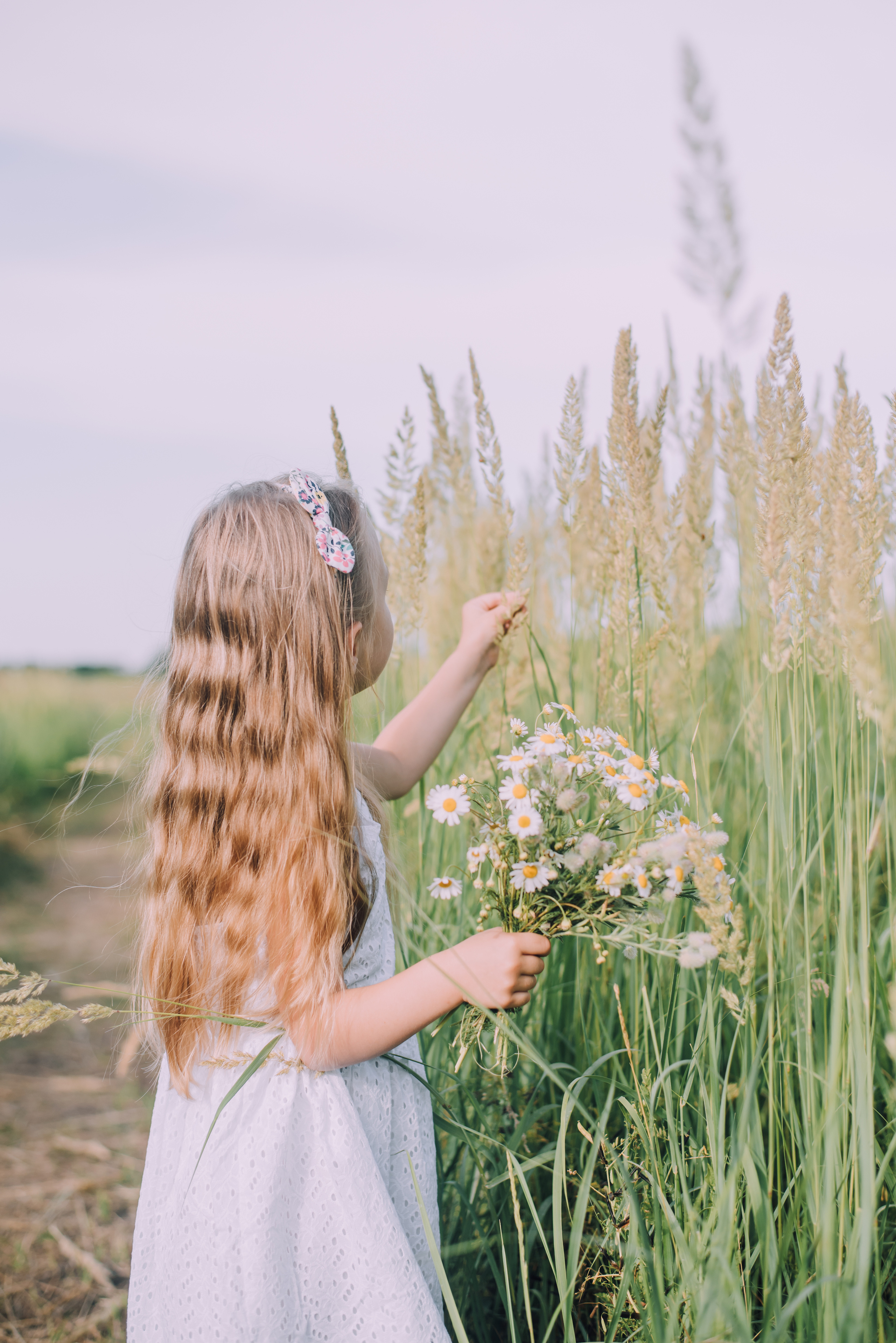 Ромашковая история Марии и Алисы. Фотограф в Краснодаре Зеленкина Дарья