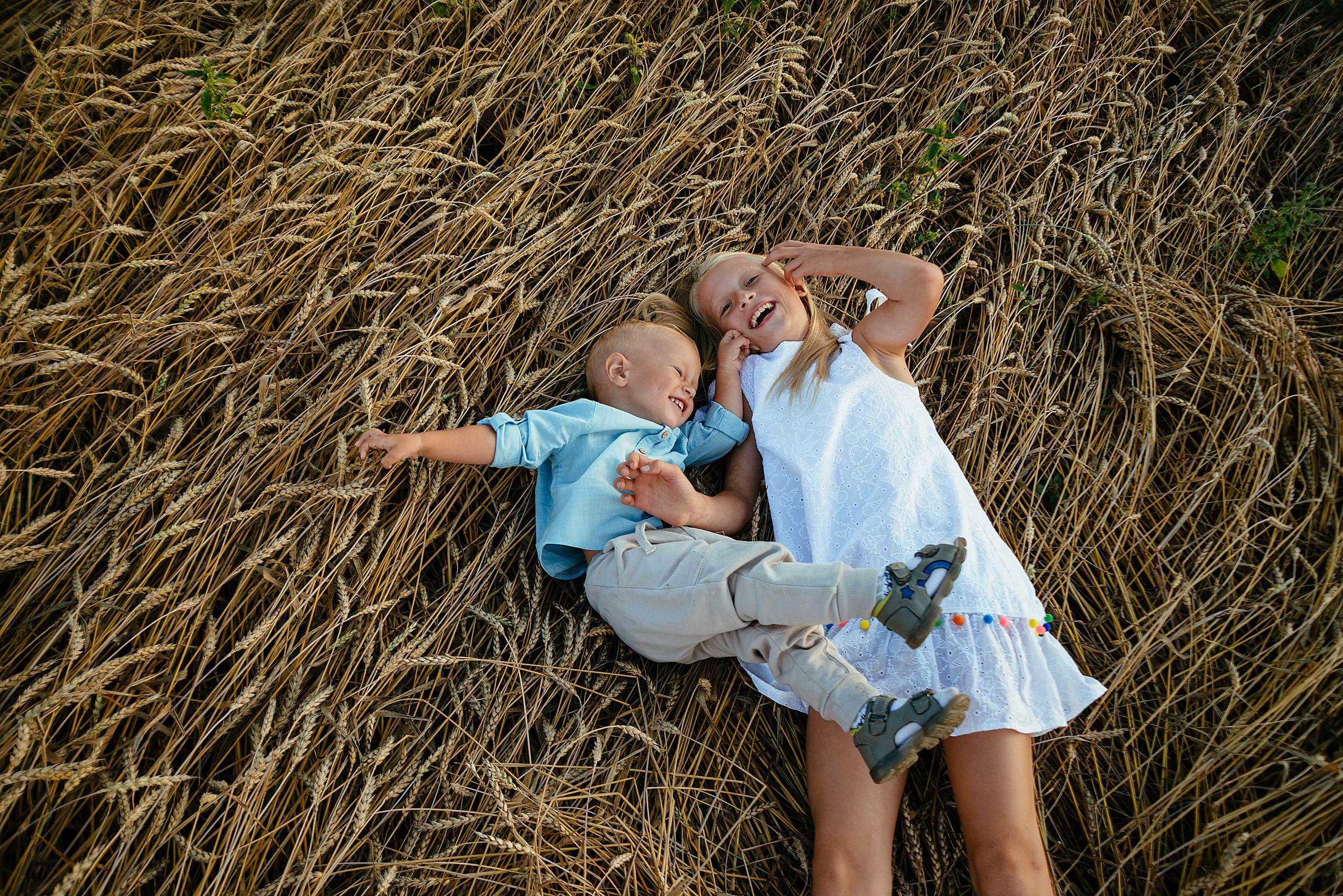 Уличная семейная фотосессия в пшеничном поле. Семейный фотограф Дарья Едапина Новосибирск. Фотограф Дарья Едапина Новосибирск