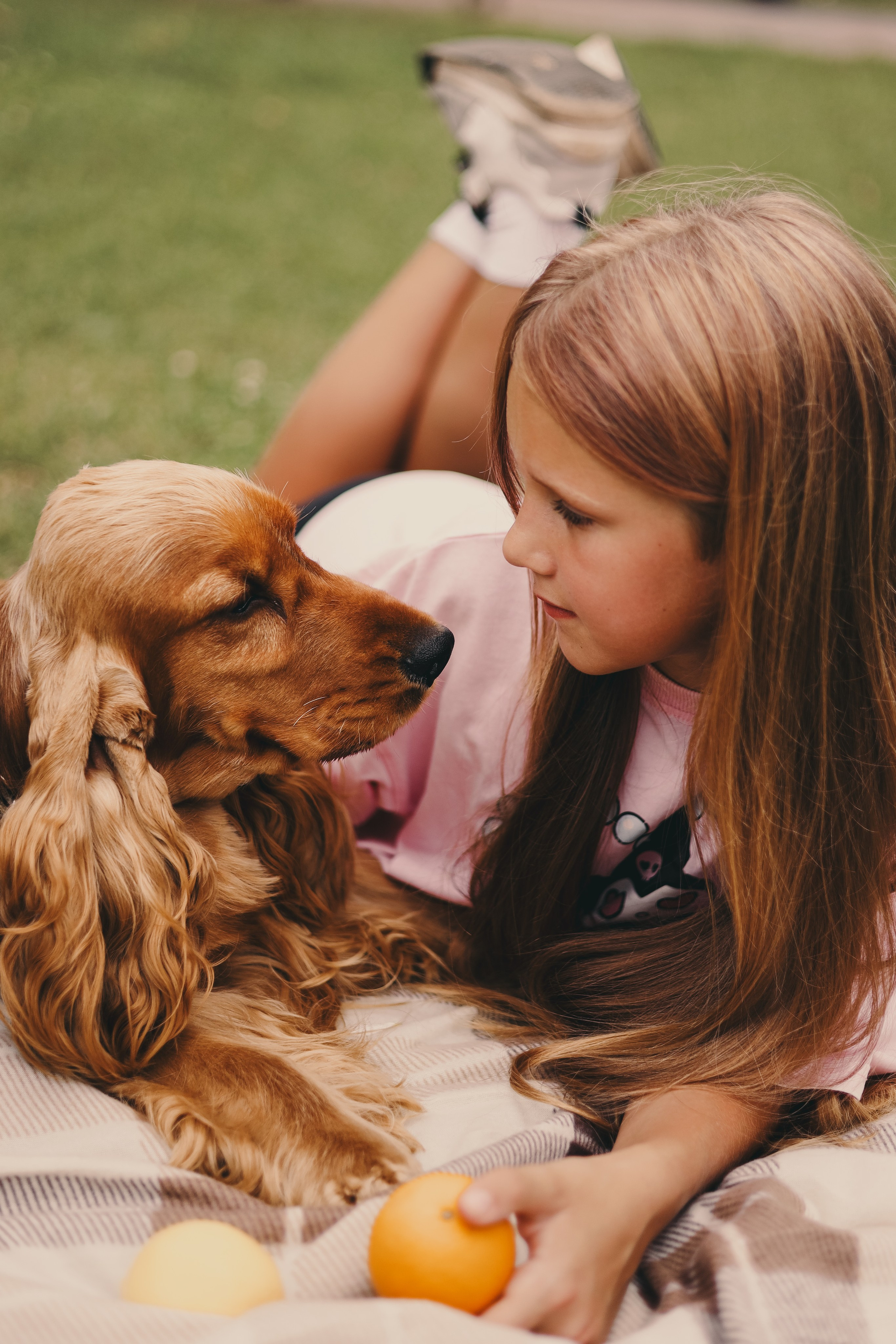 Фотопроект «Пикник со спаниелем». Фотограф Мария Лаенко