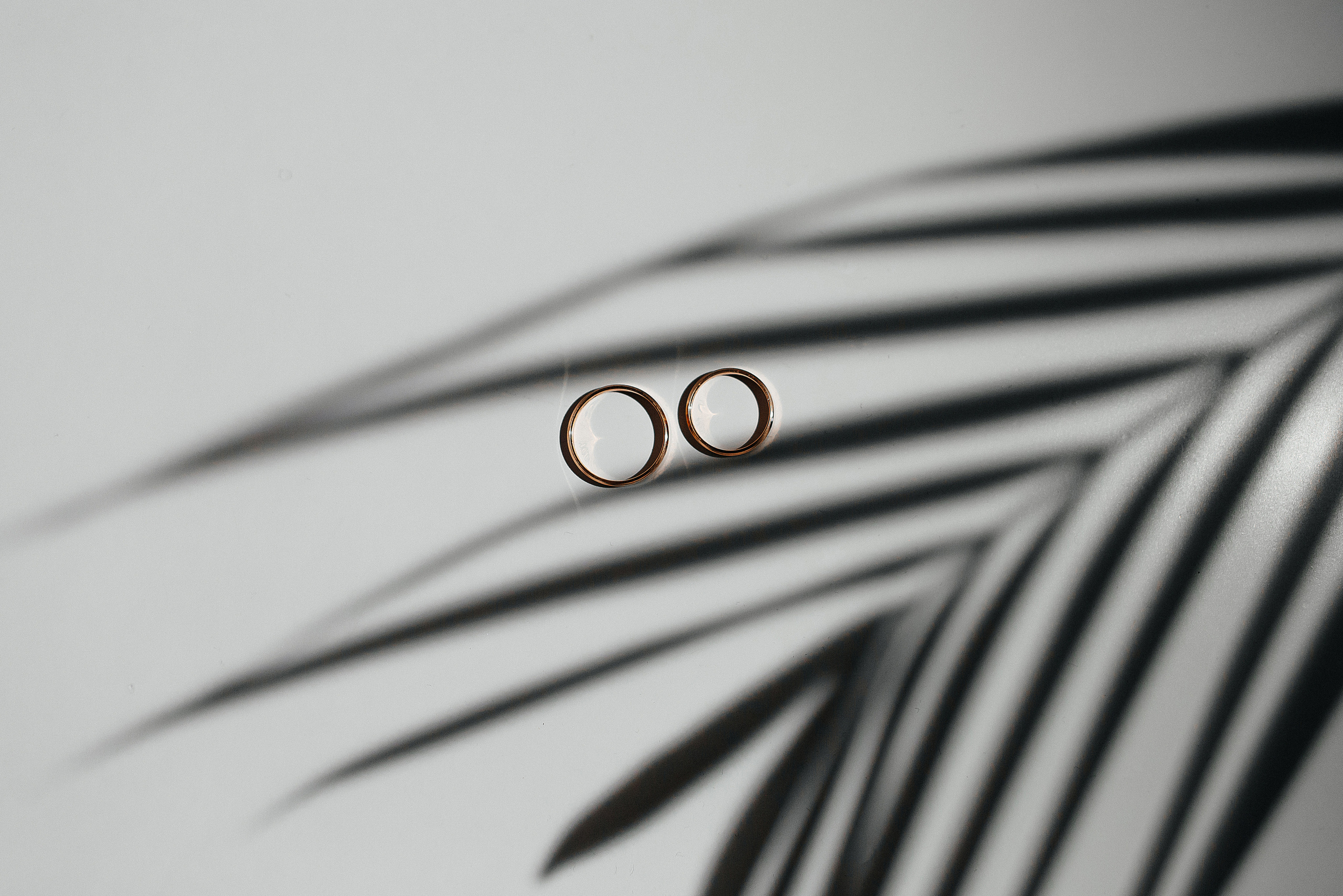 Свадебная фотосессия. Свадебный фотограф в Иваново Гитарина Черняева