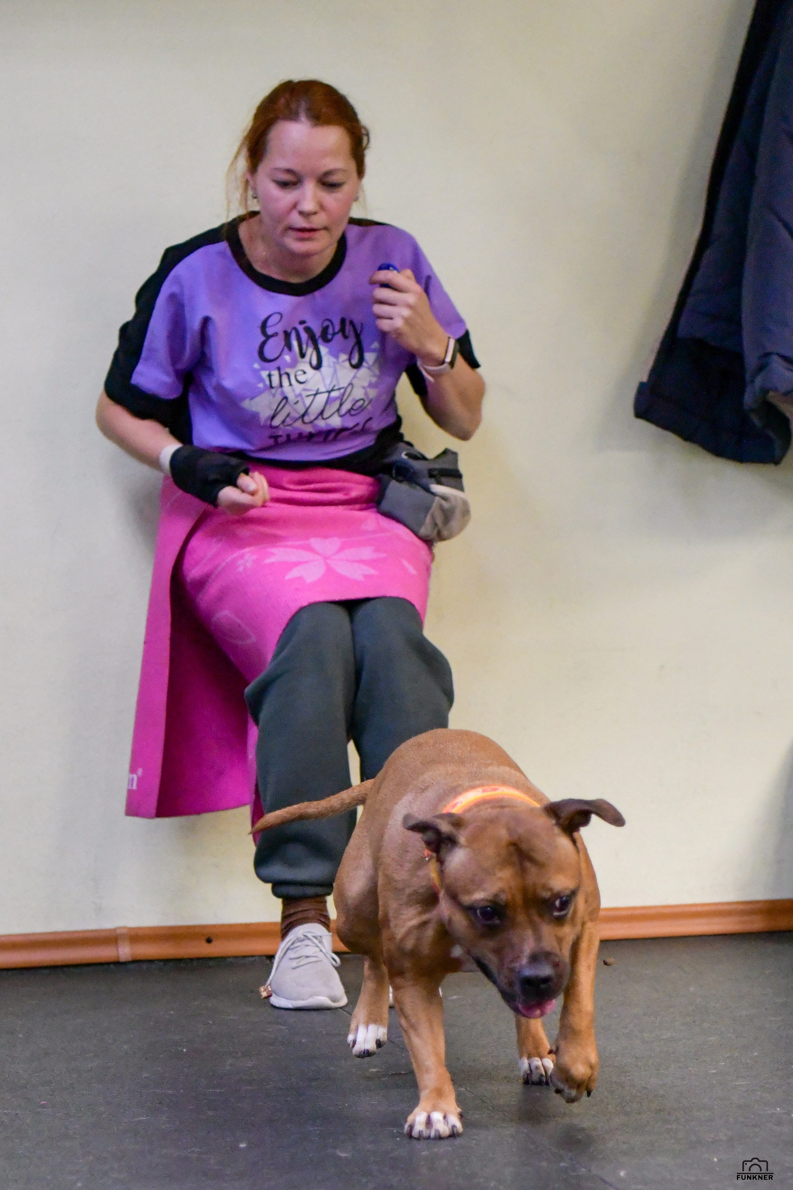 Кинологический клуб «Бодрый хвост». Свой взгляд через объектив