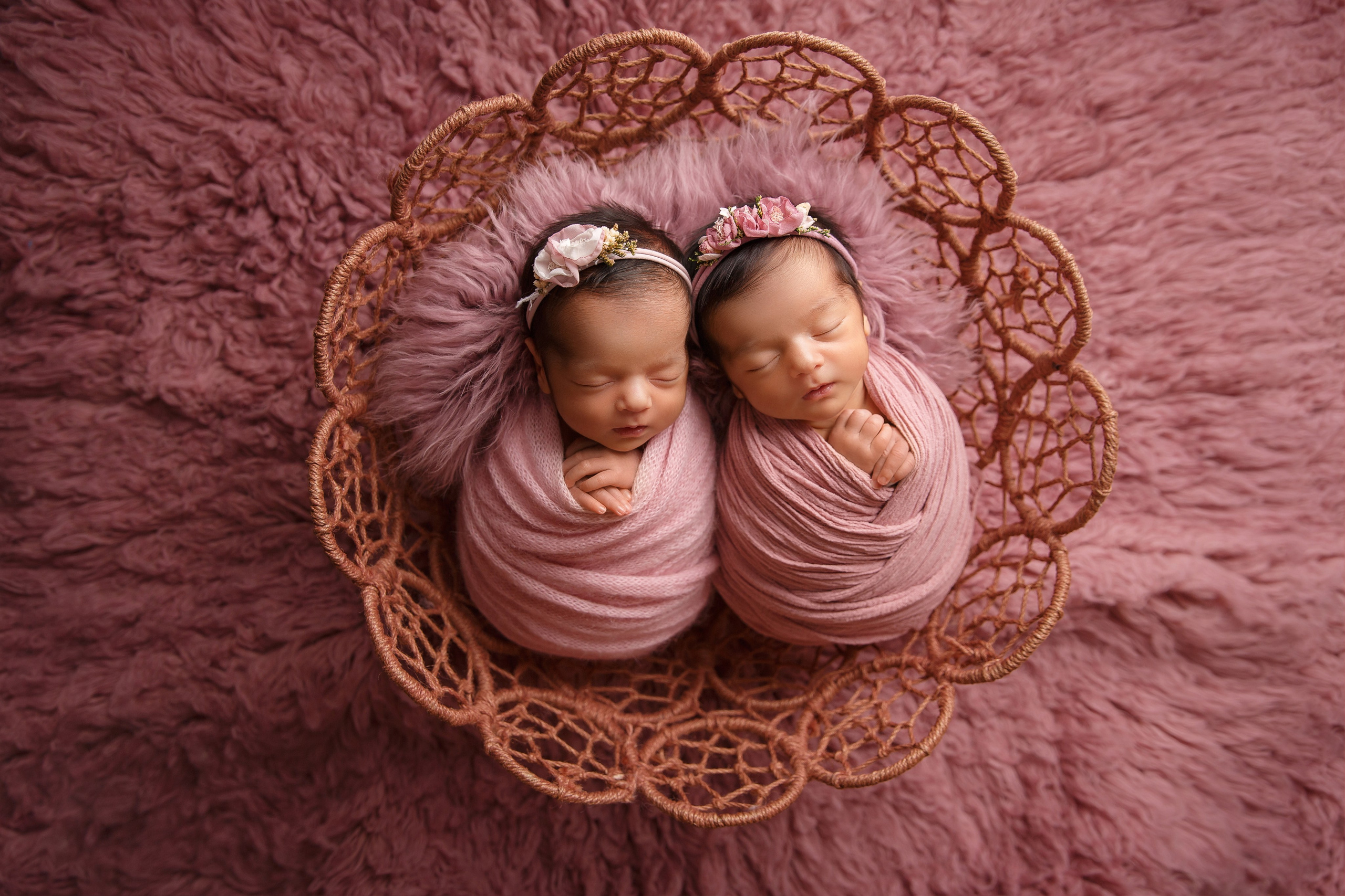 Bordo. Фотограф новорожденных, семейный фотограф в Санкт-Петербурге