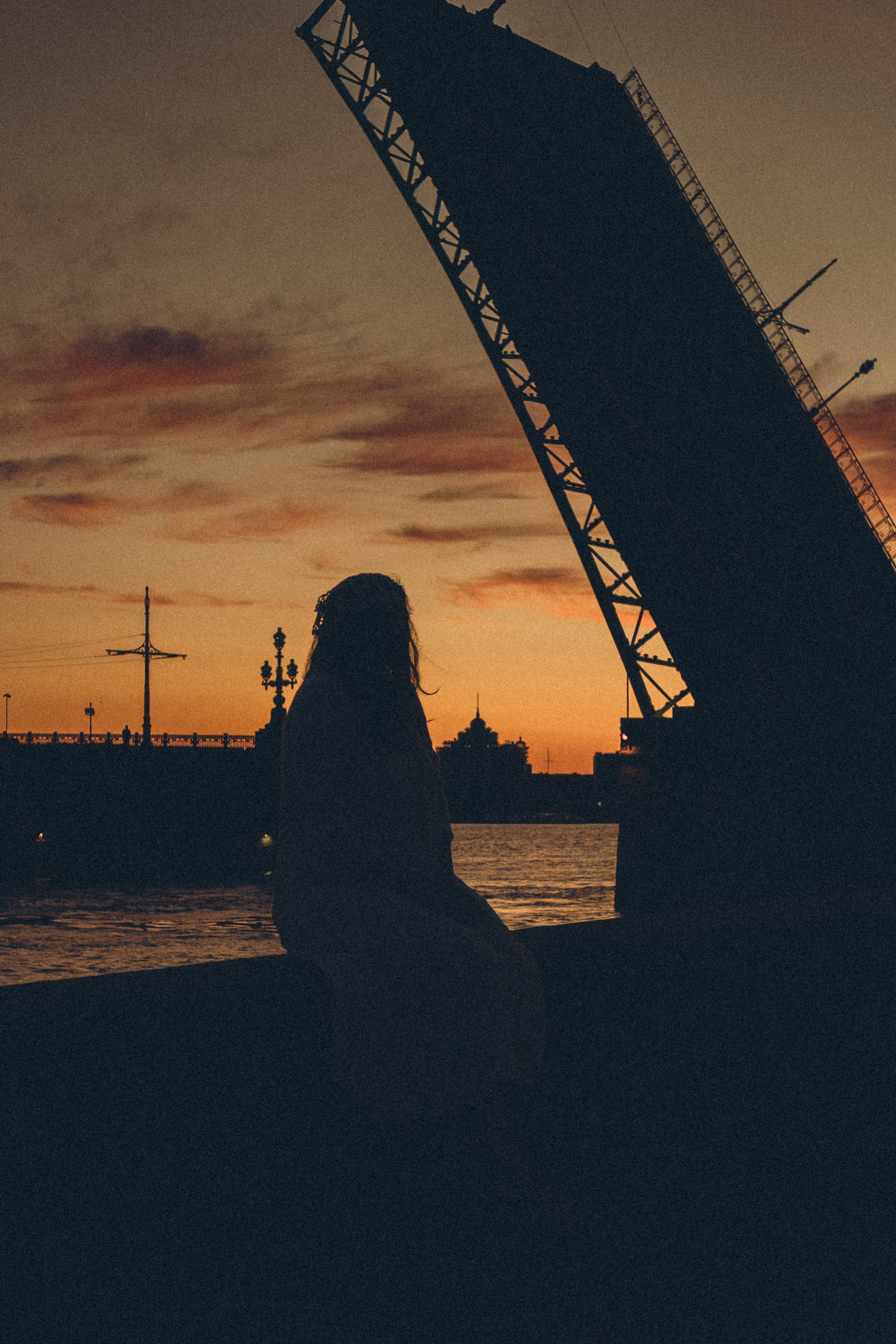 РАССВЕТ С РАЗВОДНЫМИ МОСТАМИ. Профессиональный фотограф, Санкт-Петербург — Виктория Богомолова