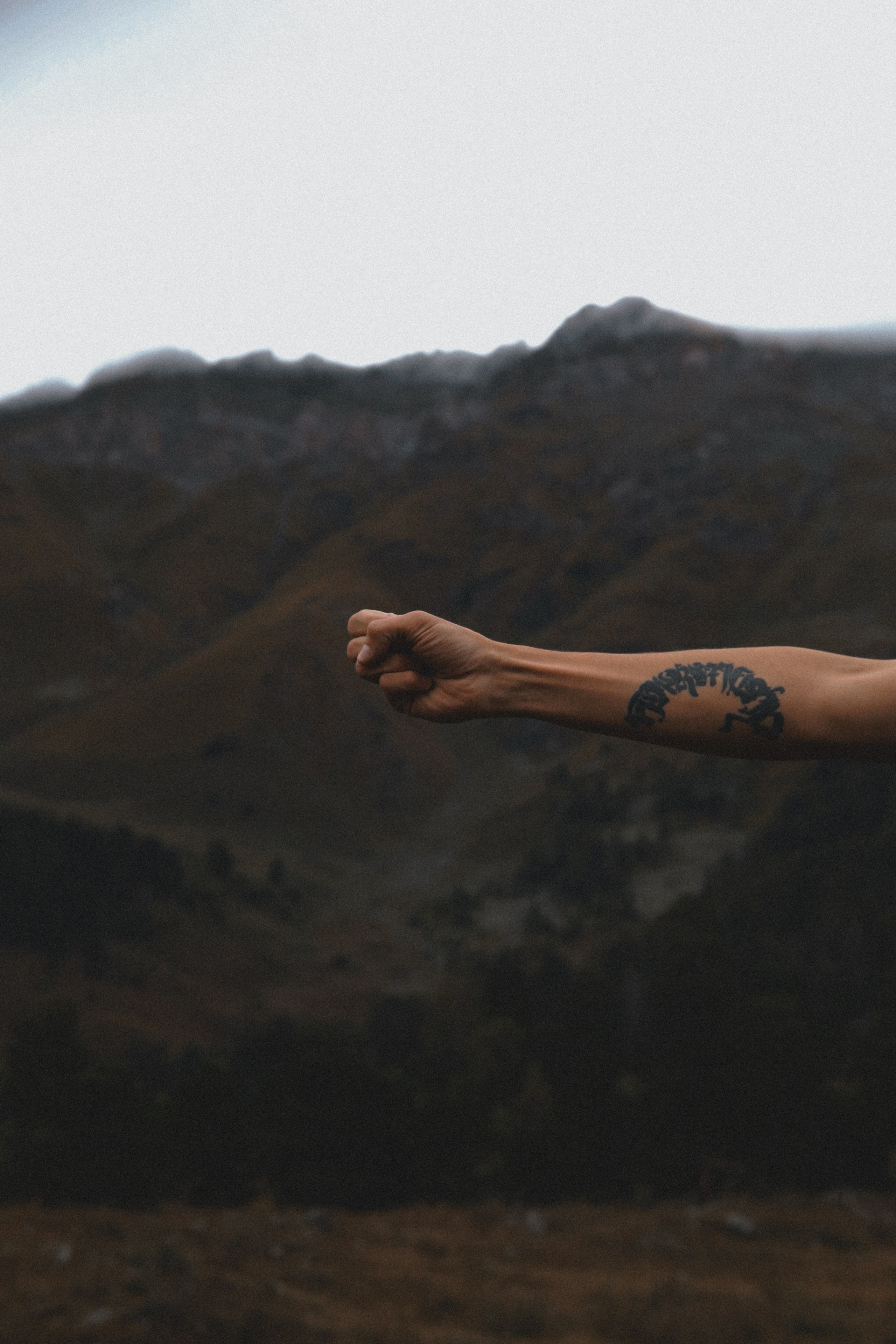 Danya. Главная