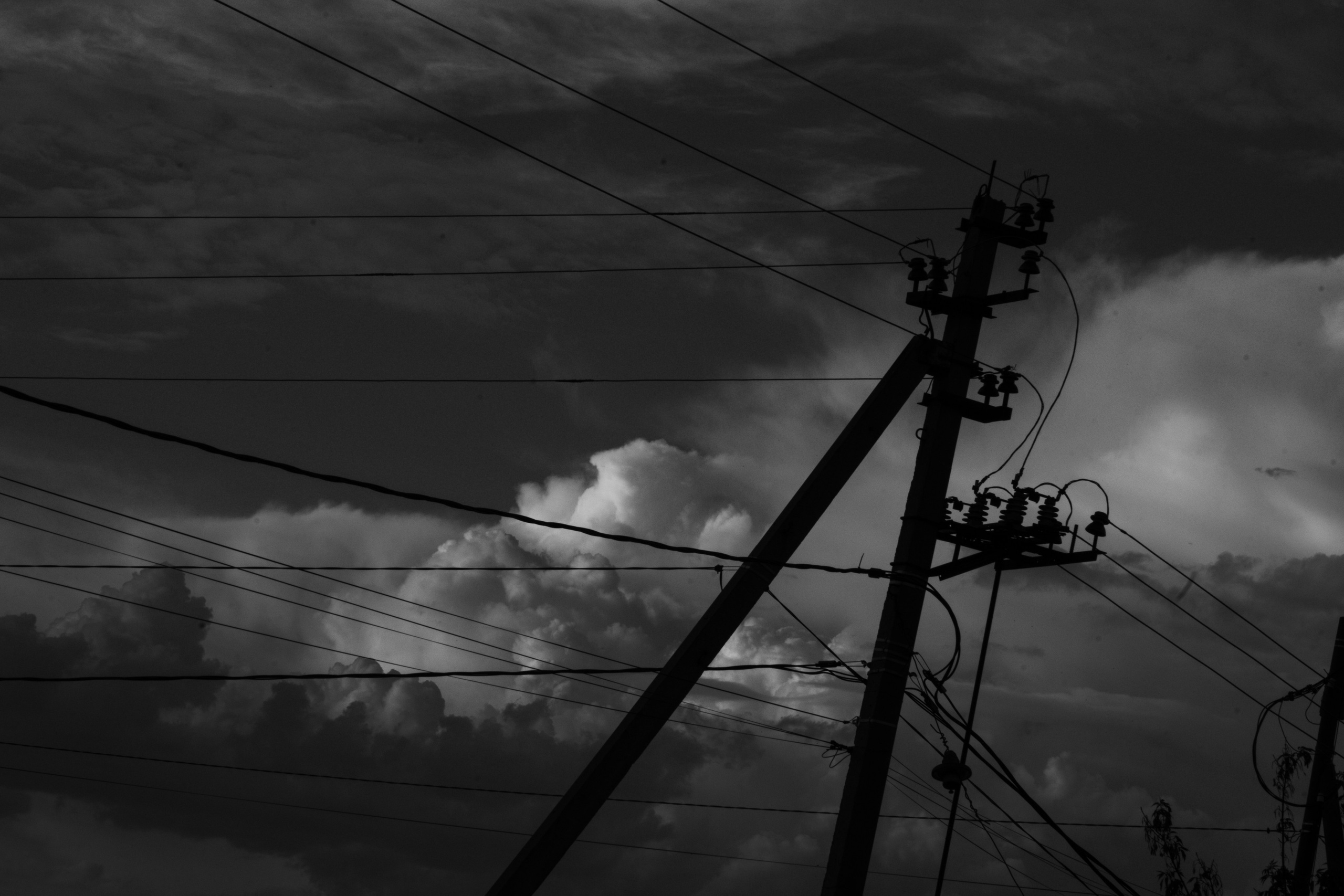 Noir of the Metropolis. Whoii art