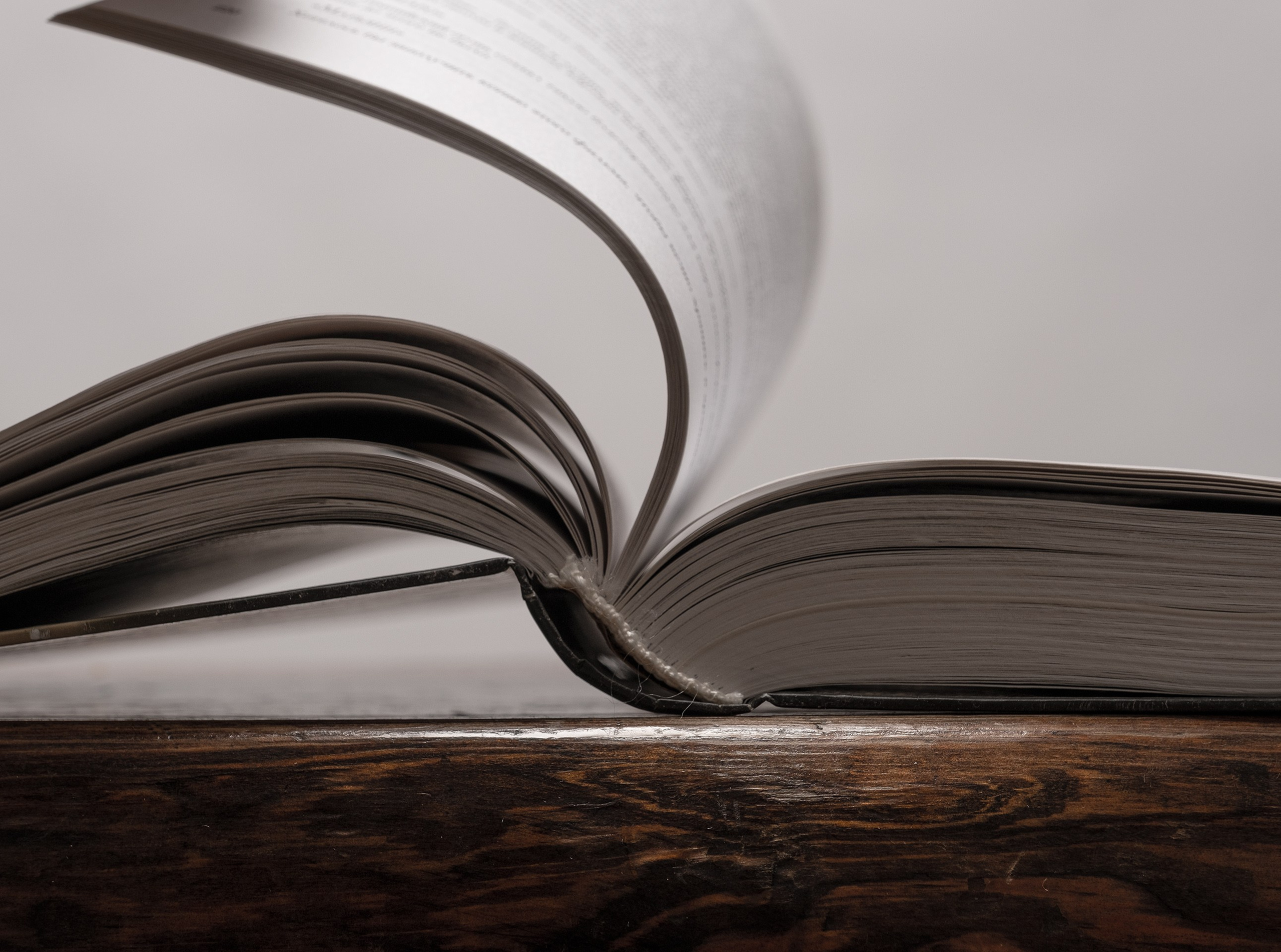 Чтение мемуаров Лени Рефиншталь.