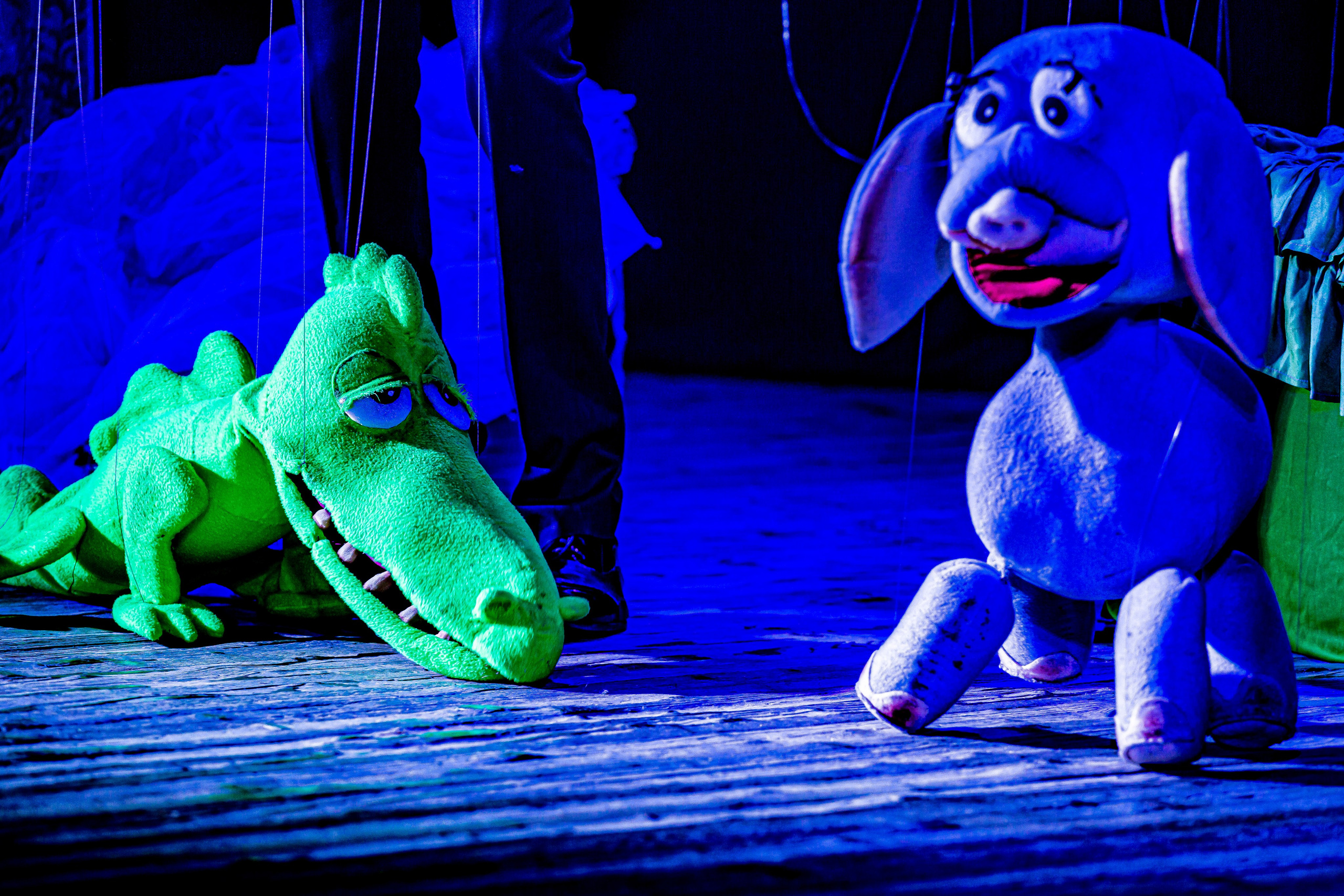 Любопытный слоненок спектакль театра Саквояж. Фотограф в Сочи Юрий Шептаев