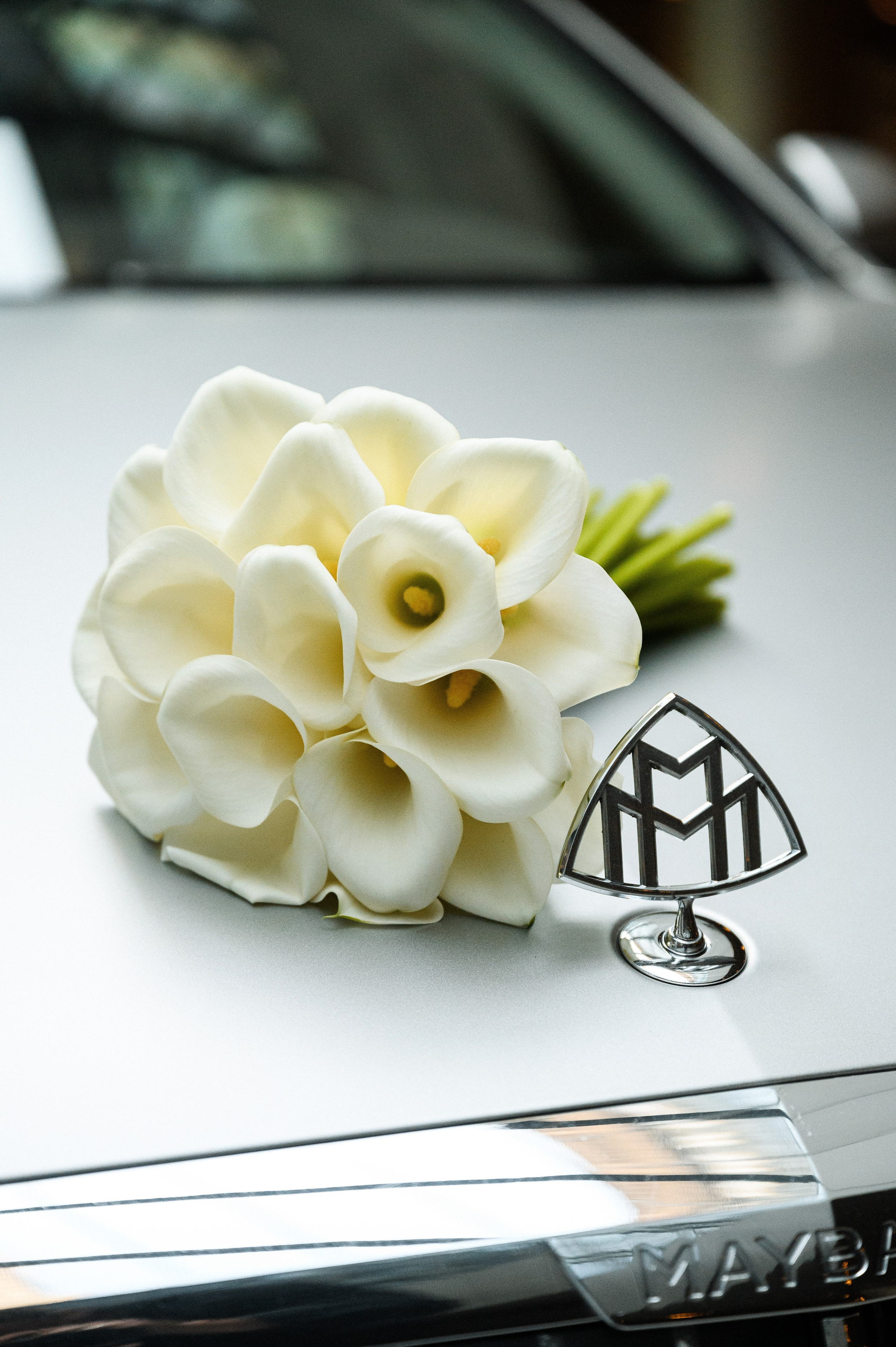 Илья & Алина