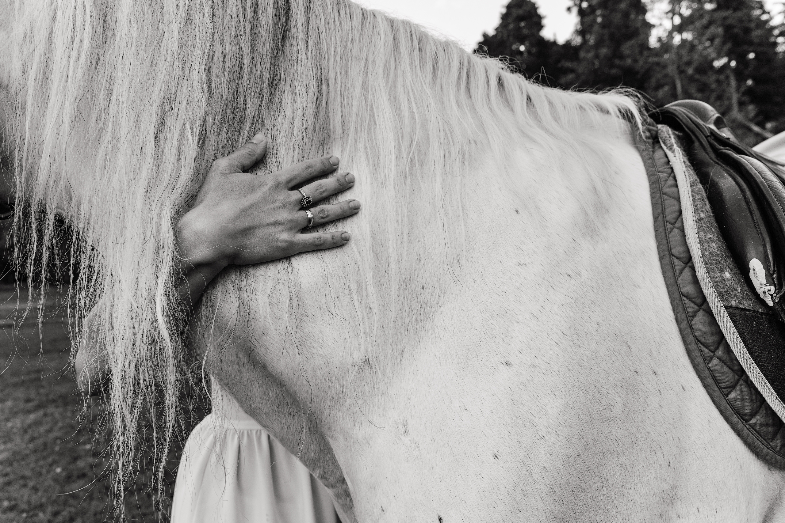 Анонс семейной съемки с лошадьми