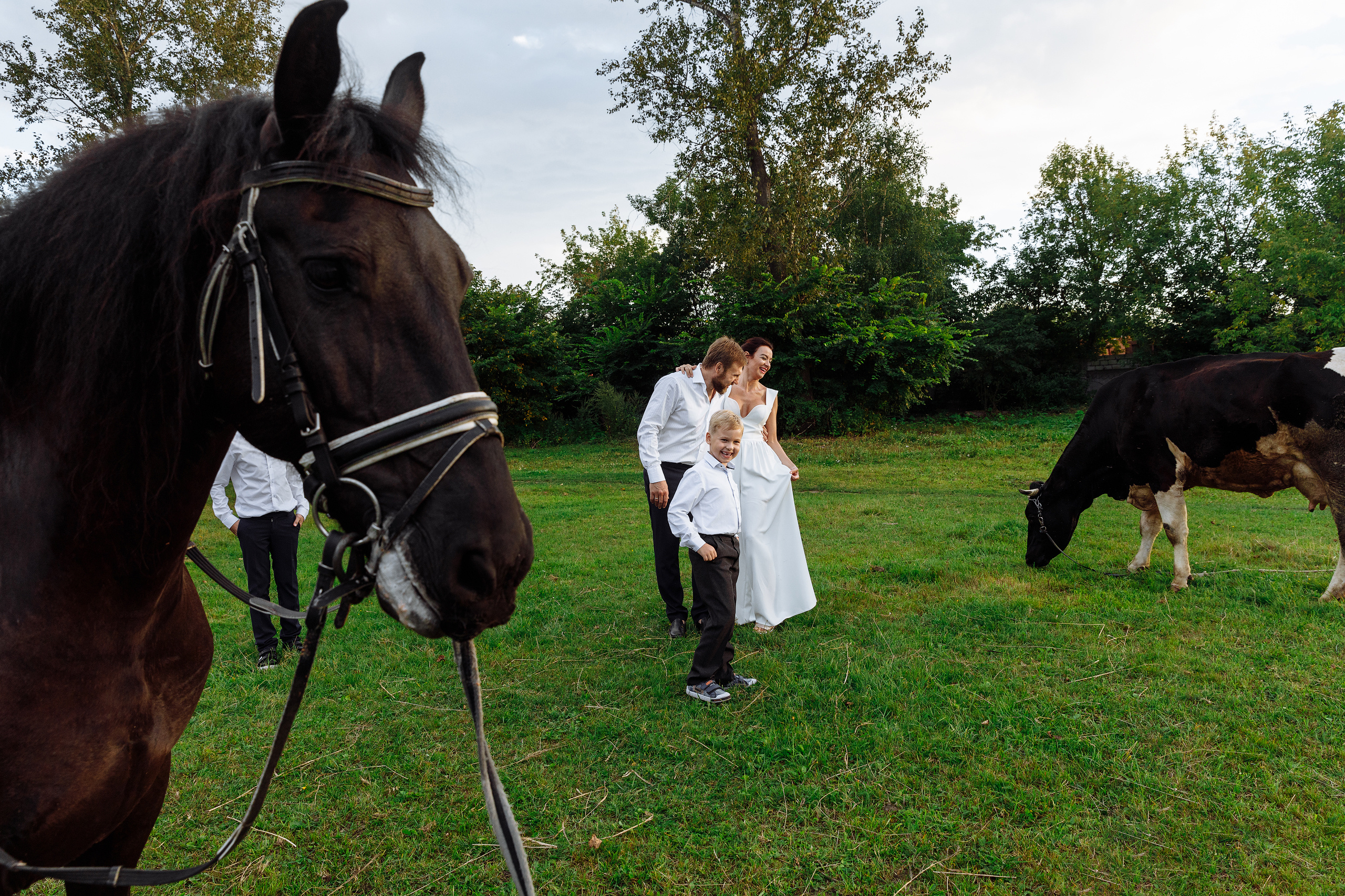 Анонс семейной съемки с лошадьми