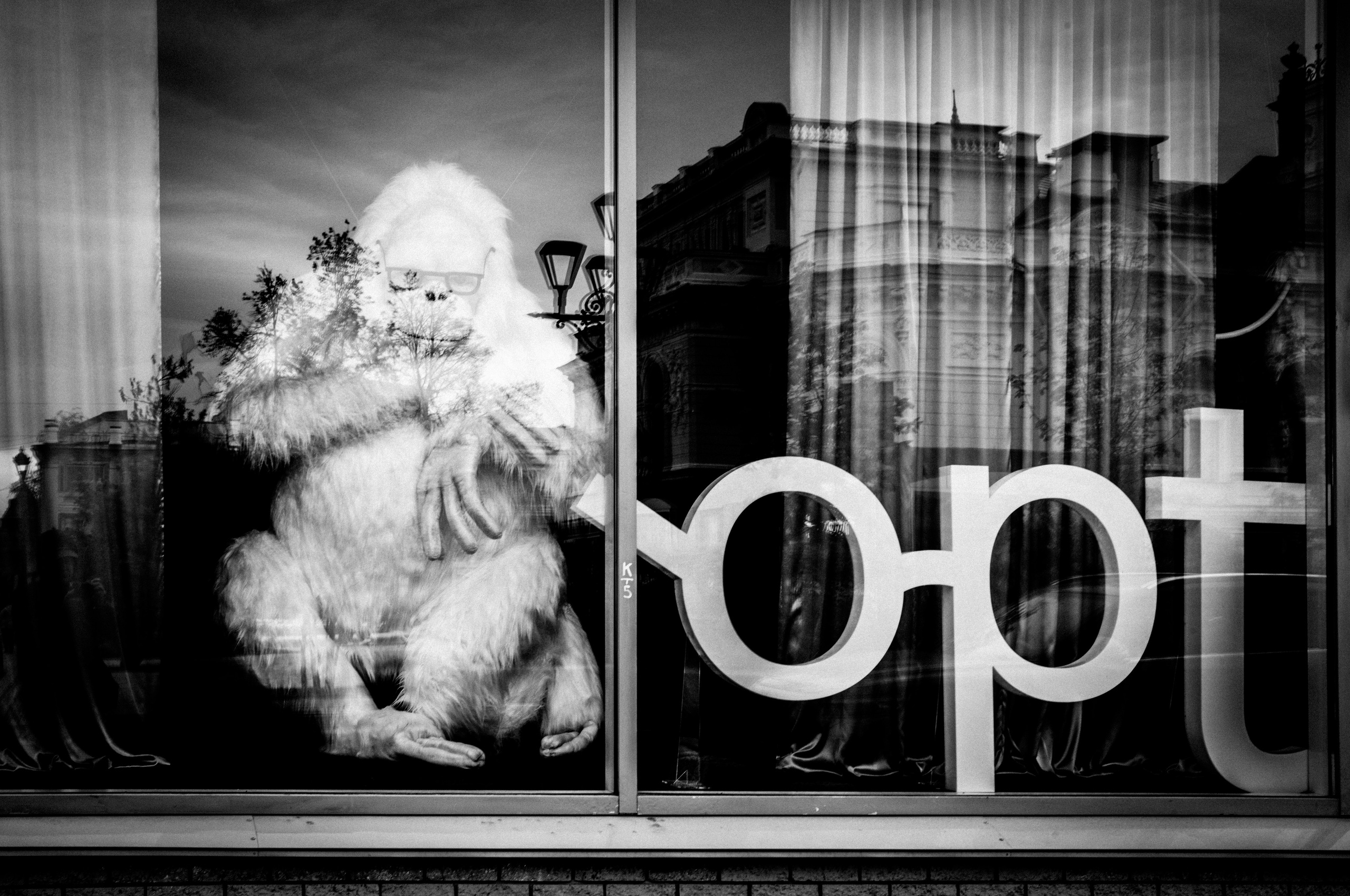 Витрина магазина оптики с декорацией в виде большой обезьяны в Нижнем Новгороде