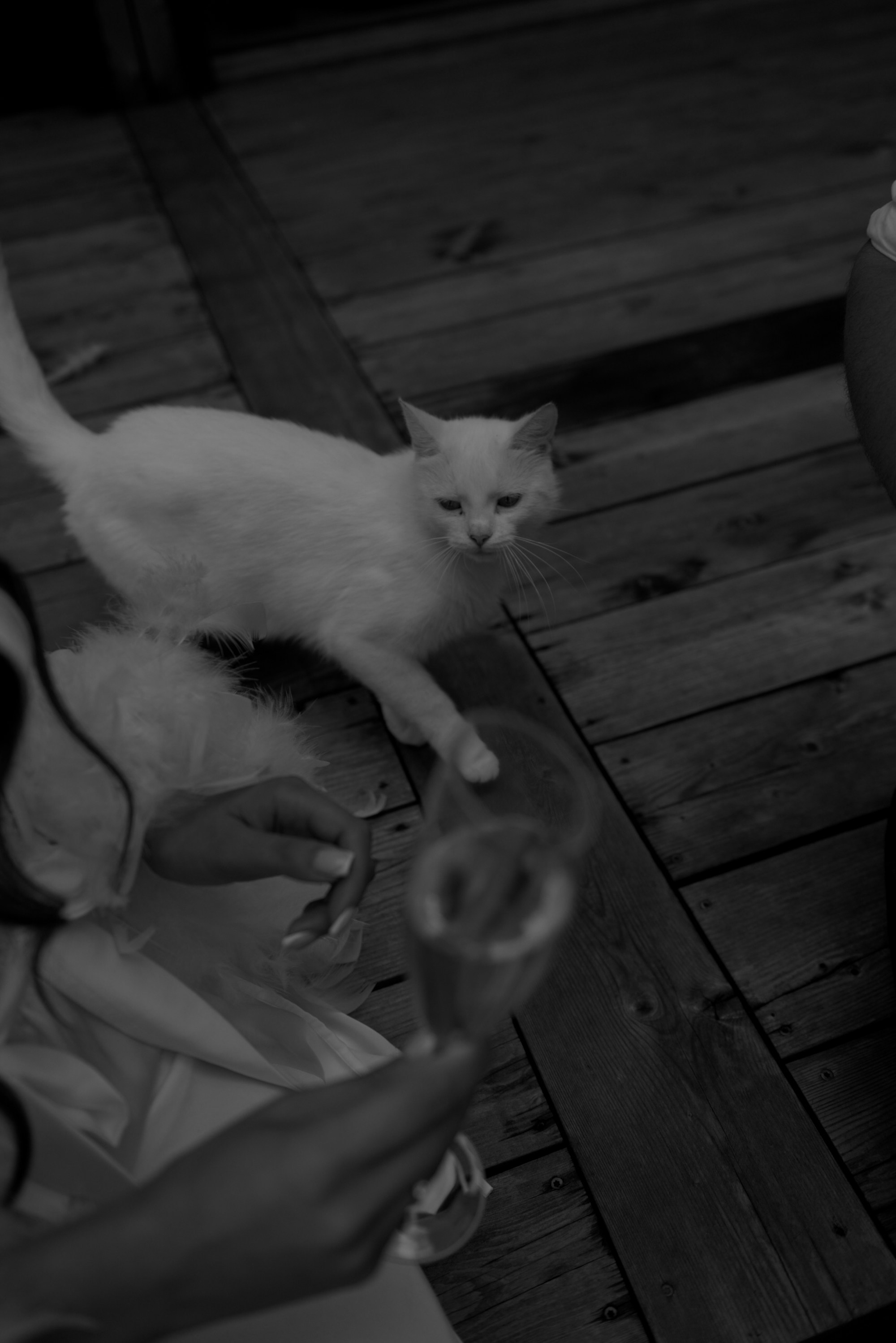 Wedding Day. Свадебный фотограф в Минске Минчукова Анна