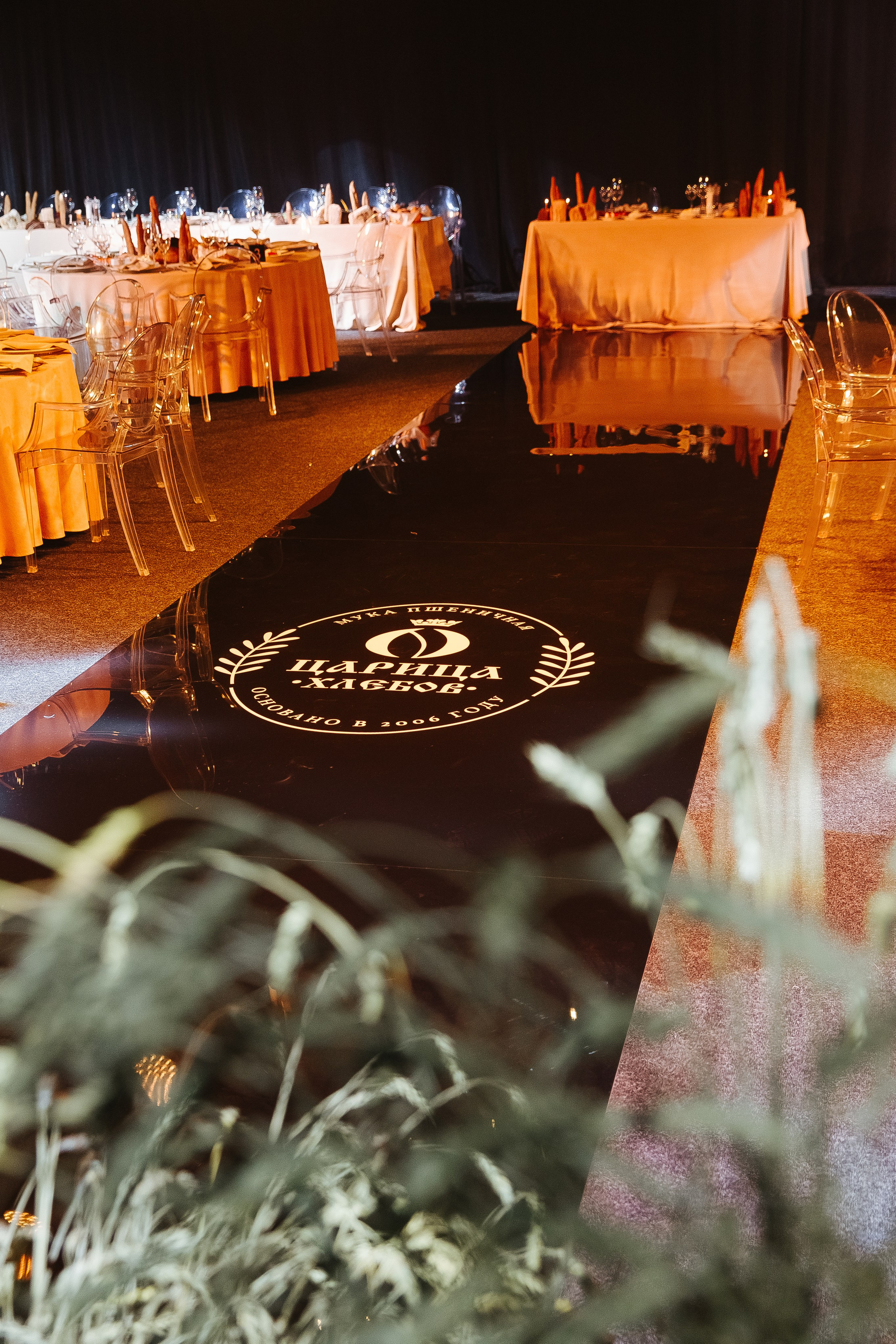 Сосны. Фотограф в Красноярске Любовь Малеева