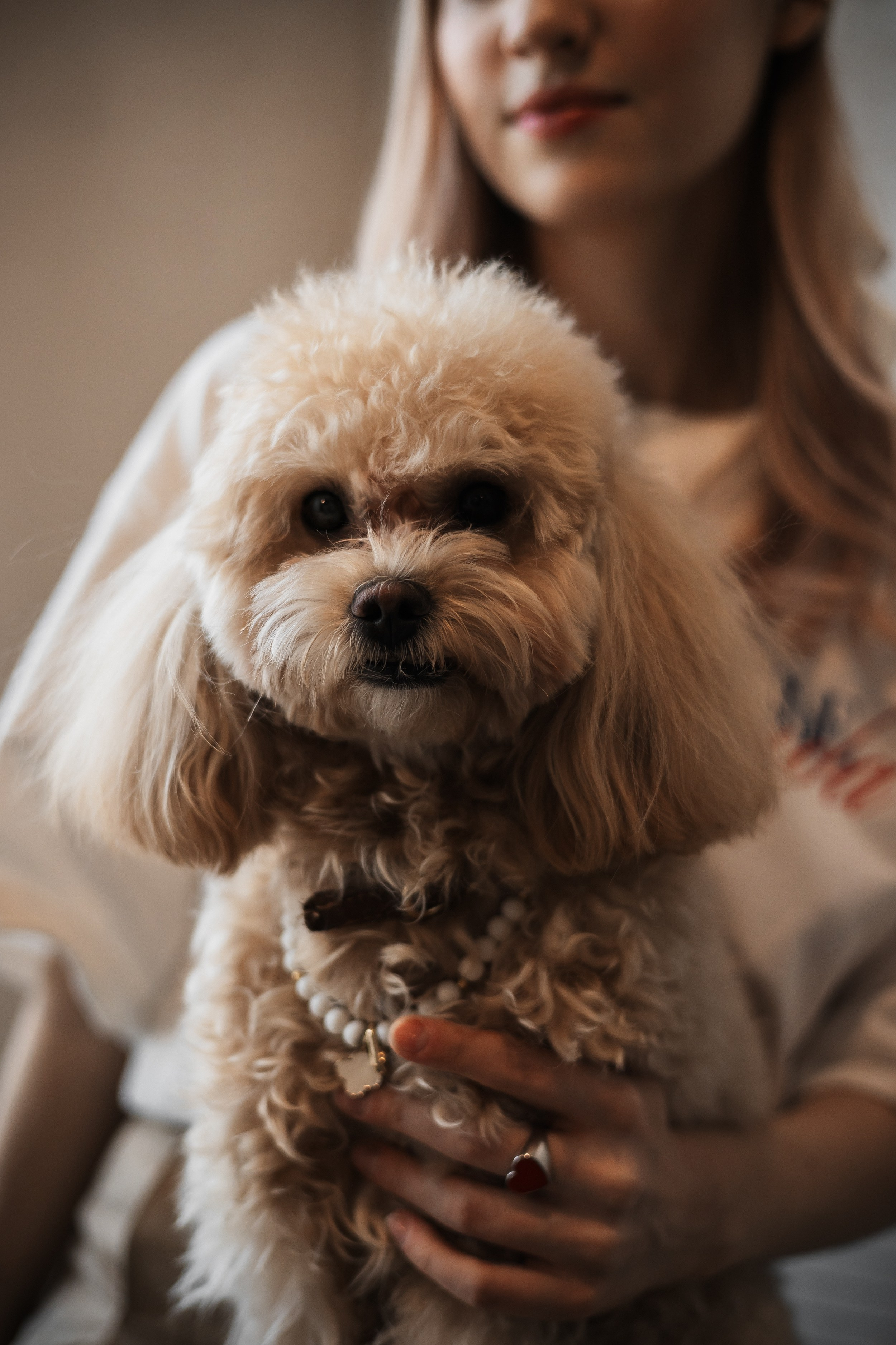 Алина — прогулка