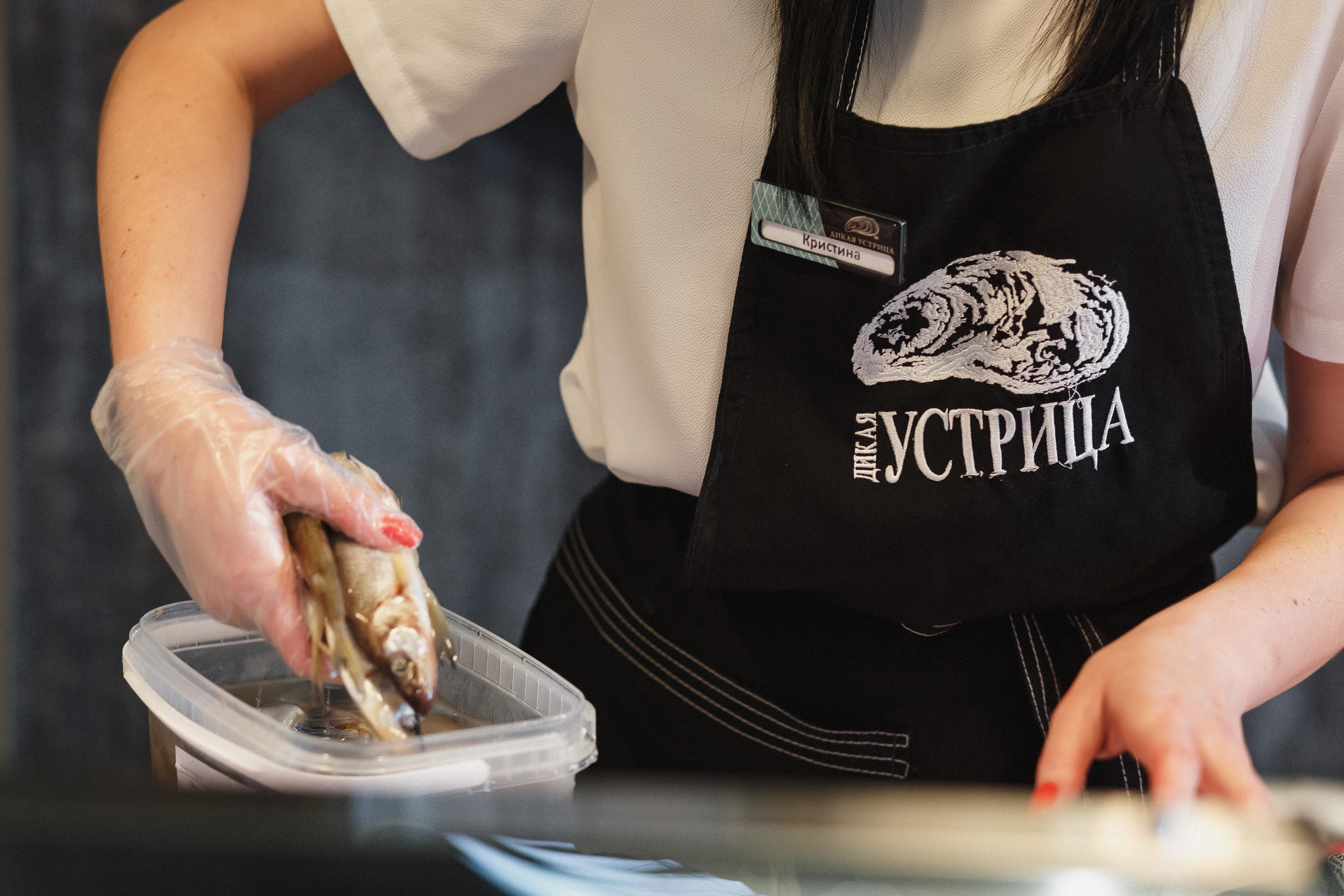 Открытие Сети Магазинов морепродуктов 'Дикая Устрица' в Таганроге. Свадебный и семейный фотограф в Таганроге Бакарюк Антон