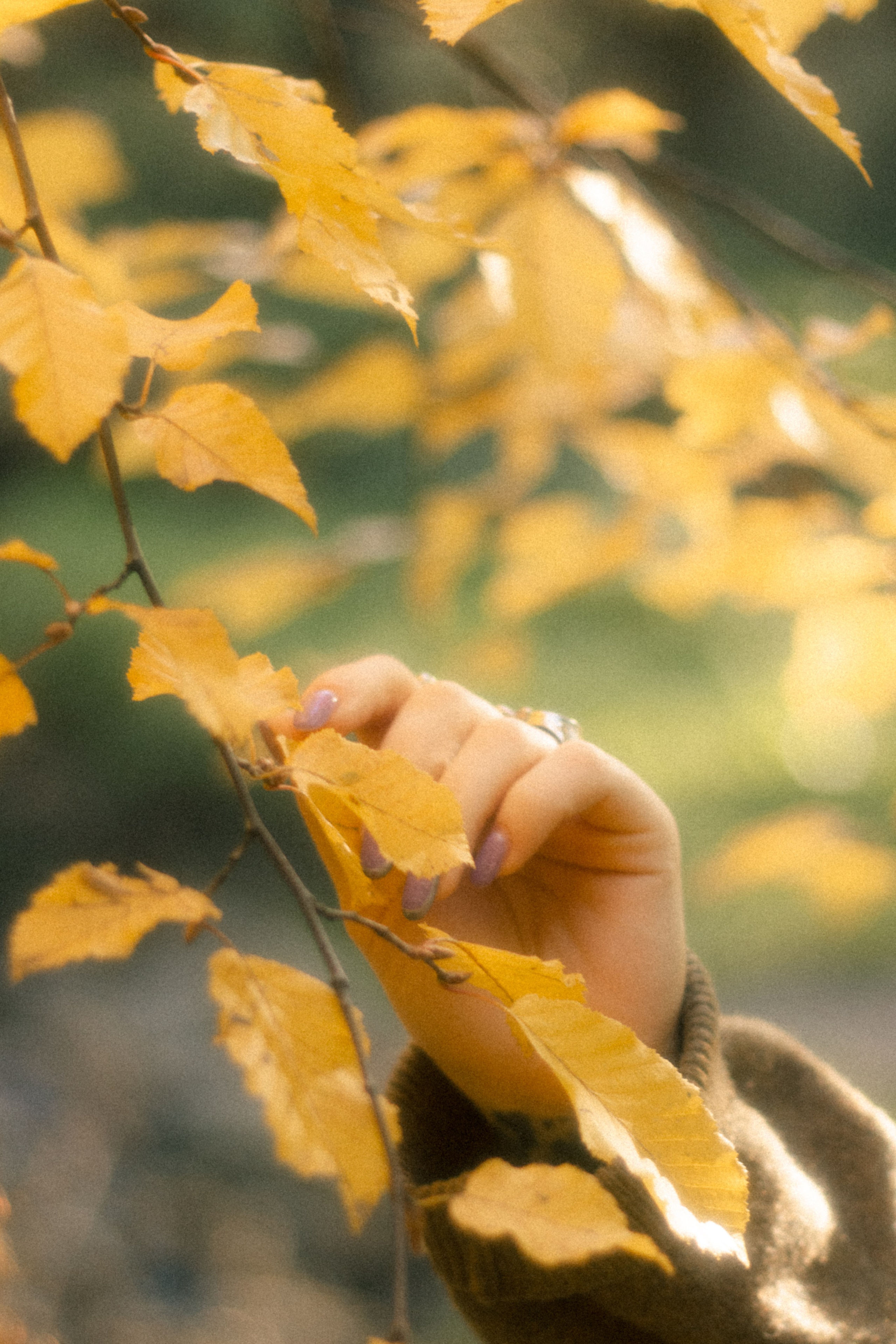 Фотопрогулка в парке Калининград. Портретный фотограф в Калининграде Рита Холодова
