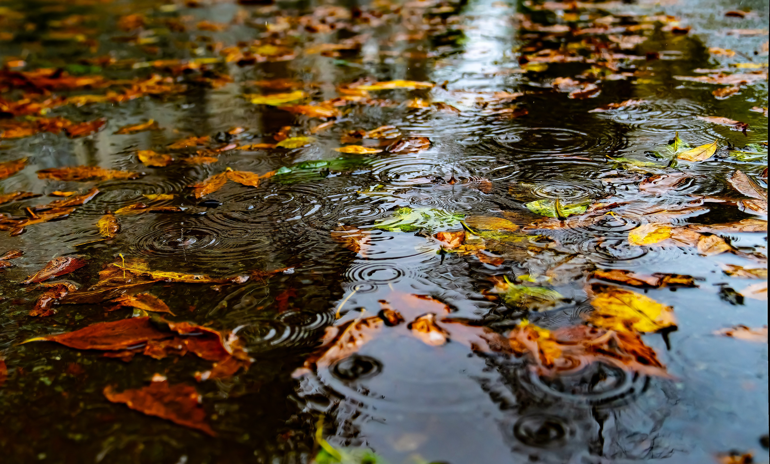 Контакты. Фотограф во Владивостоке