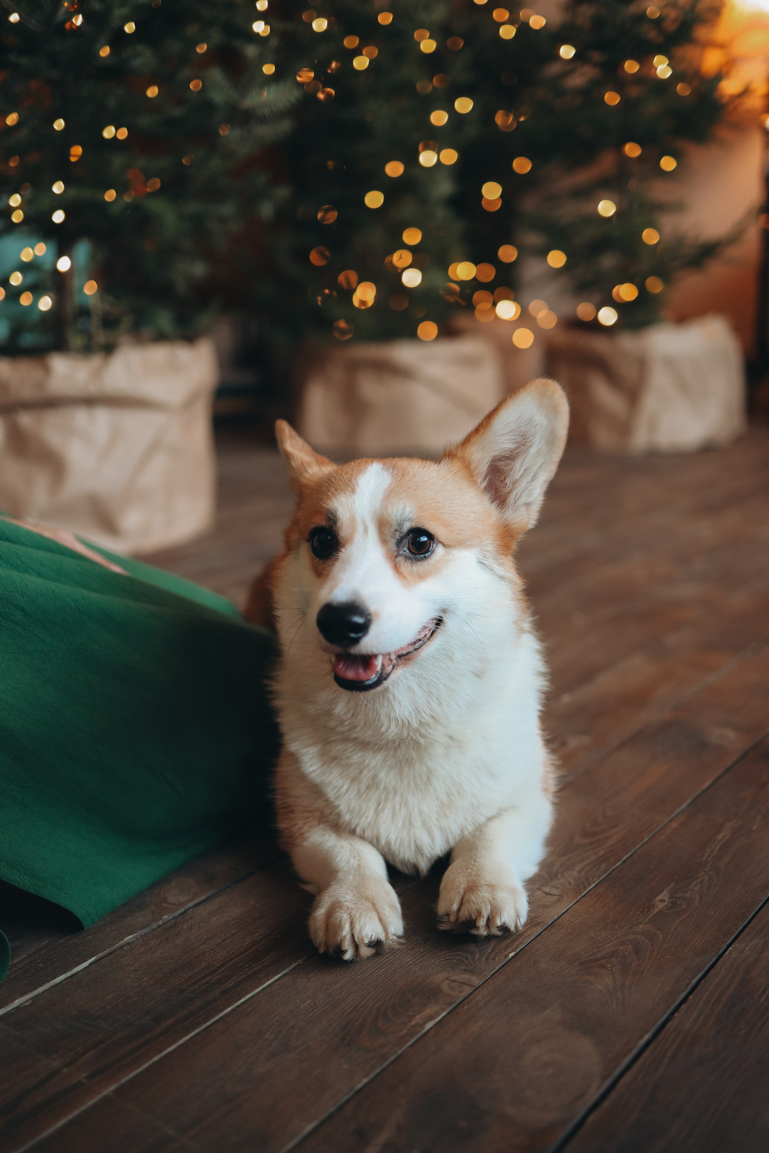 Мама и дочки в фотостудии Чувство. Marina Shakirova Photography
