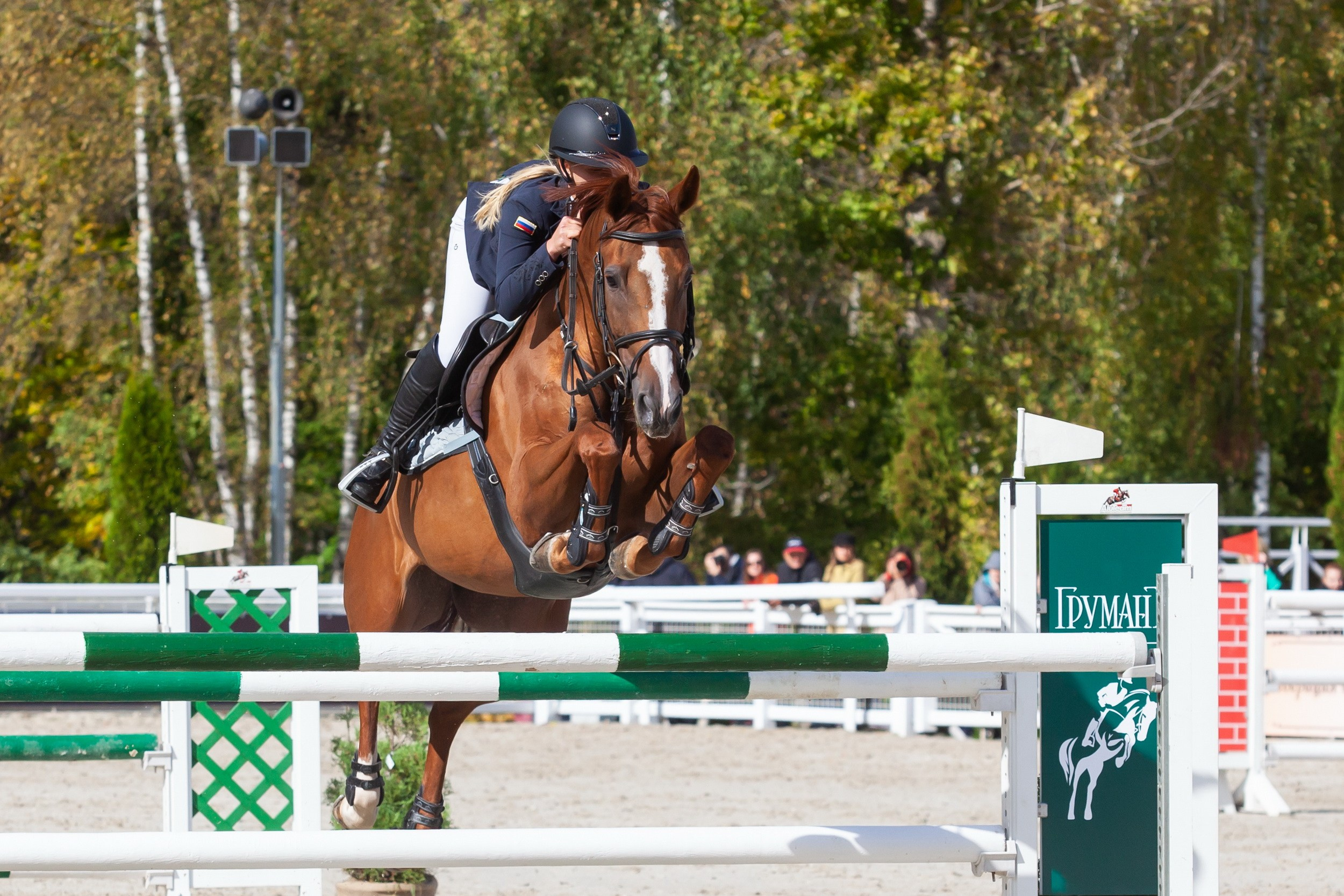 Кубок Губернатора по конкуру (21 сентября 2019). Репортажный фотограф Алексей Пирязев