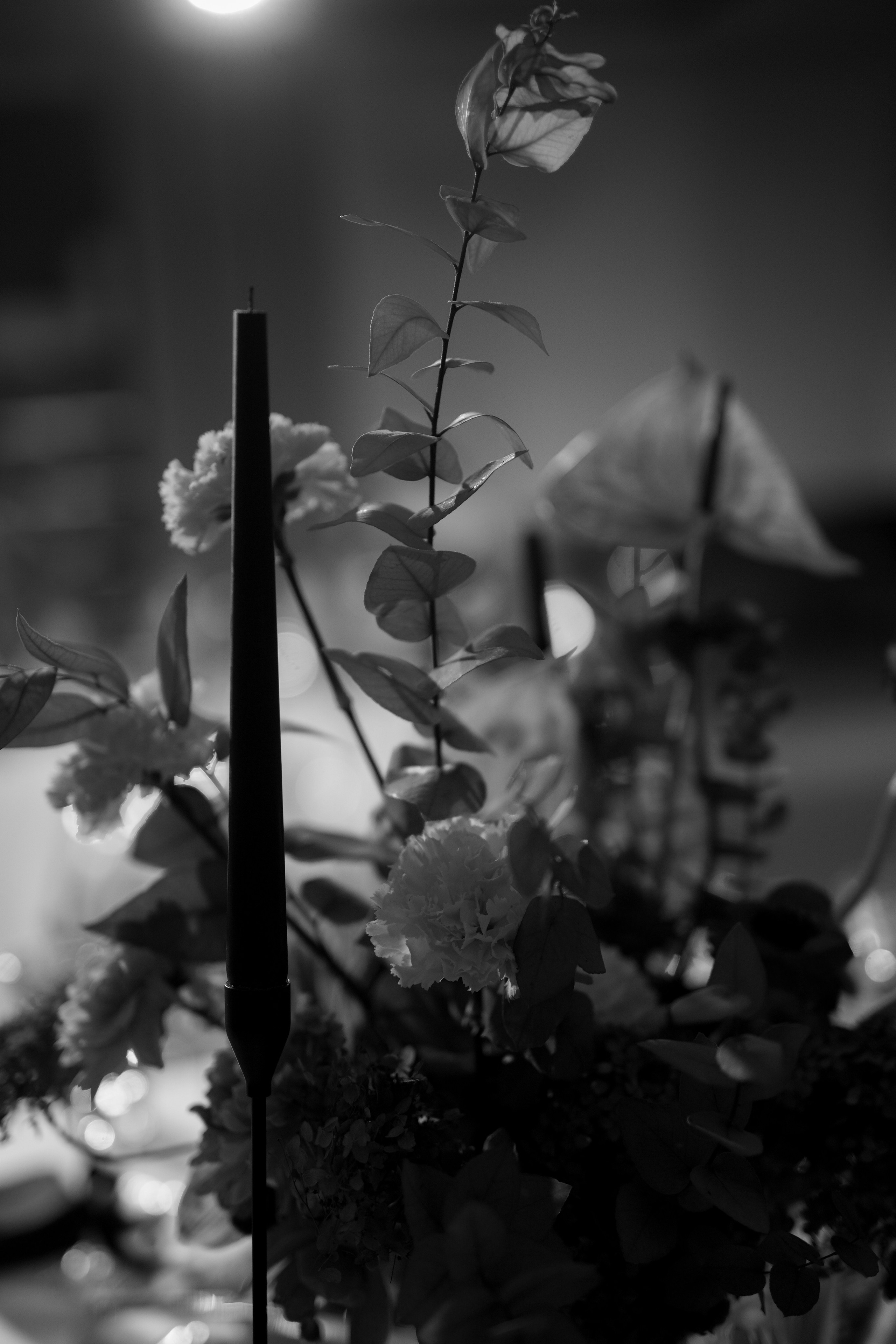 Валерия и Денис. Свадебный фотограф Марина Попова