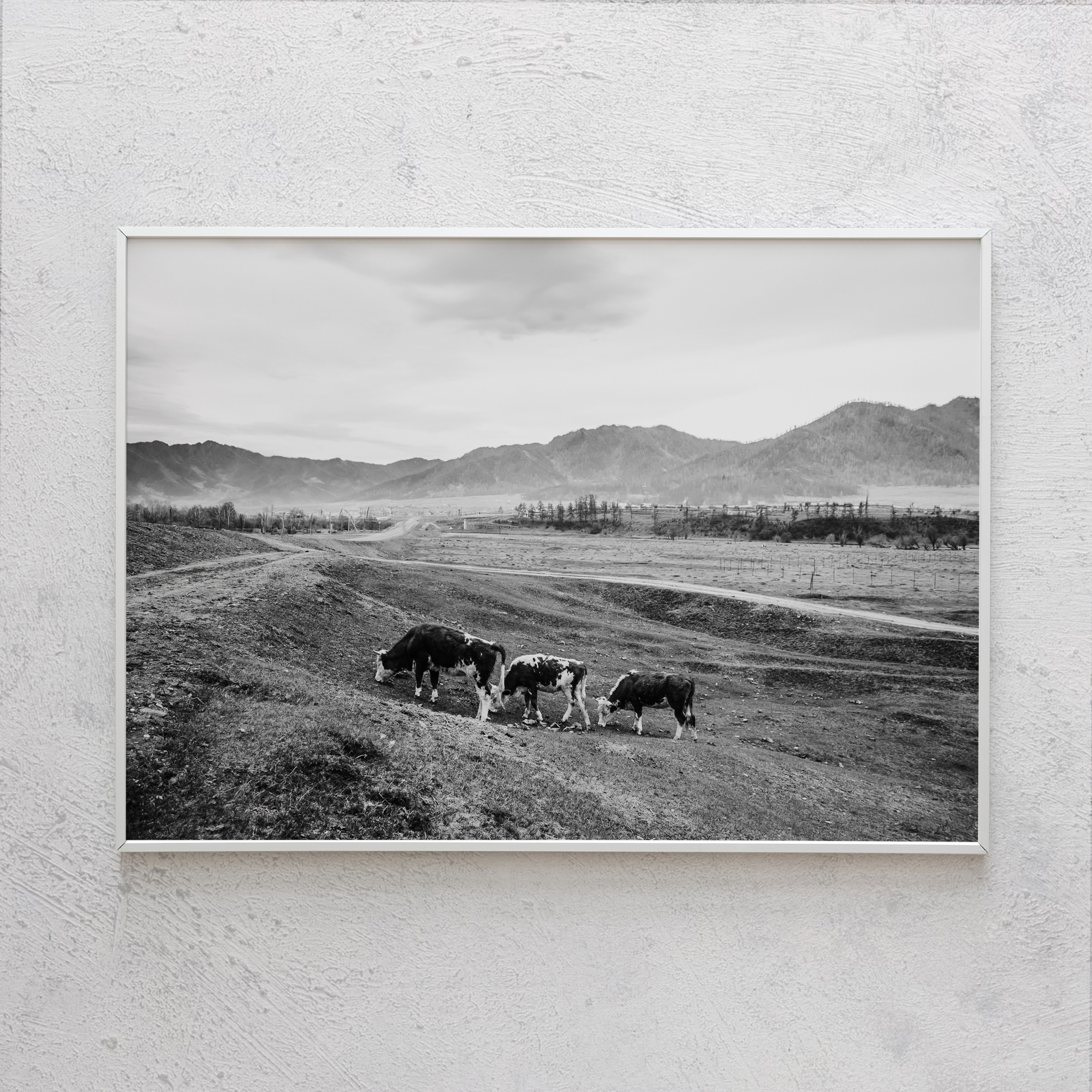 Печать интерьерных фотографий Кемерово