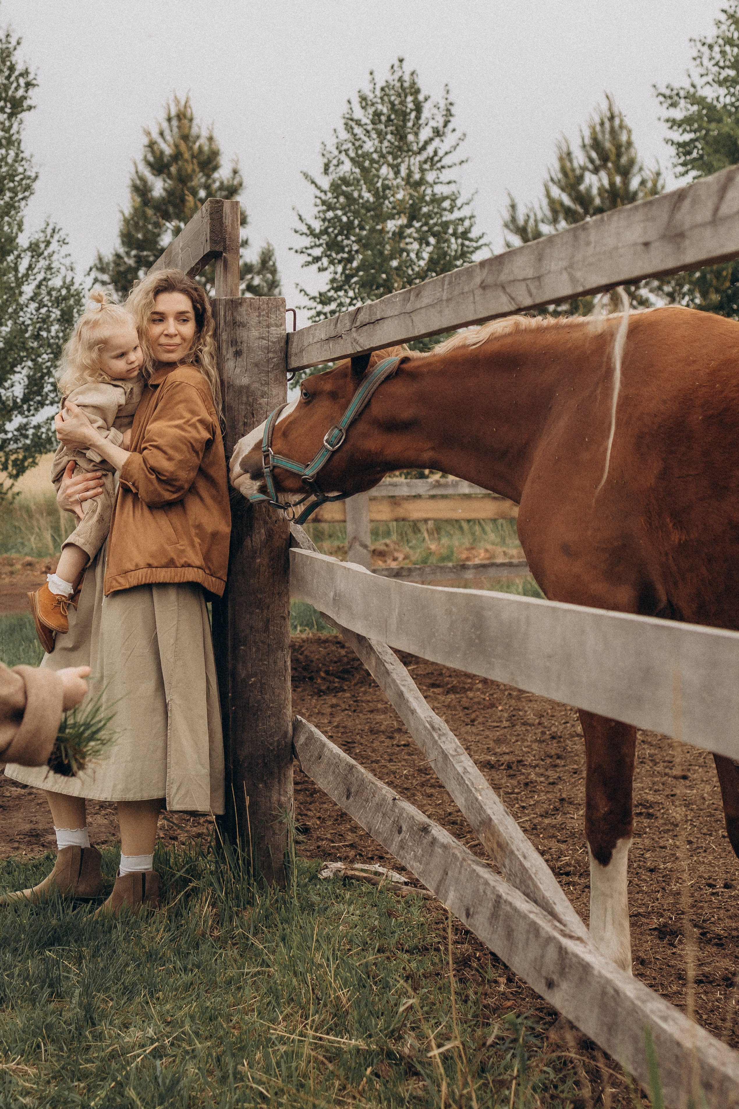 Семейная в поле. Эльвира Галимьянова — семейный фотограф Екатеринбурга