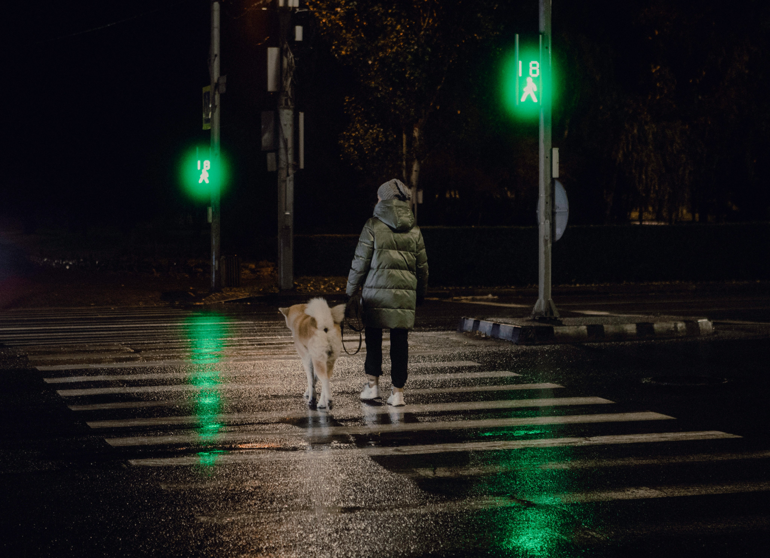 StreetPhoto. Foto-petrovsky.ru