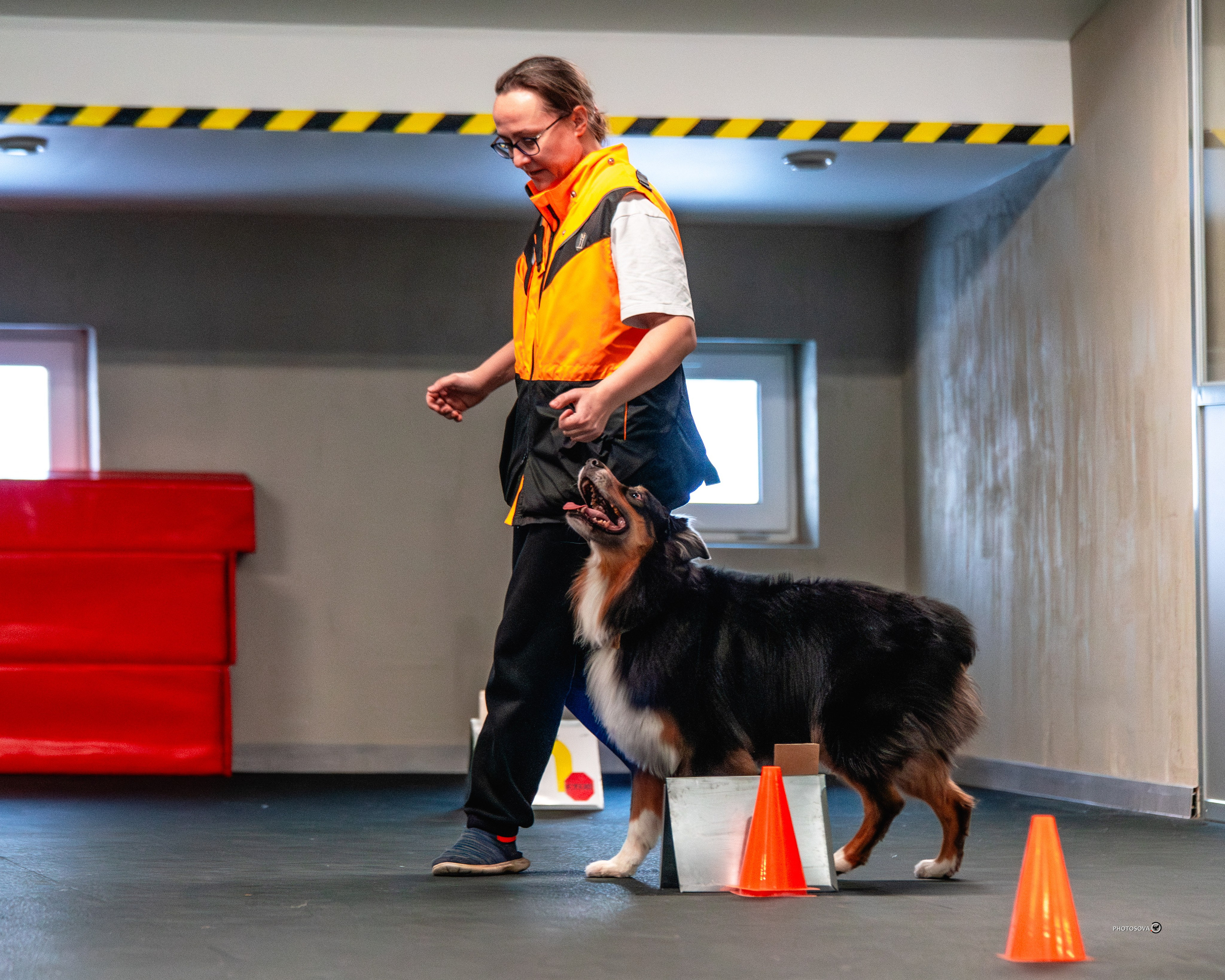 ТЫ И Я (соревнования по ралли-обидиенс). Фотограф-анималист, семейный фотограф в Москве и Подмосковье. Фотосъёмка кинологических дисциплин