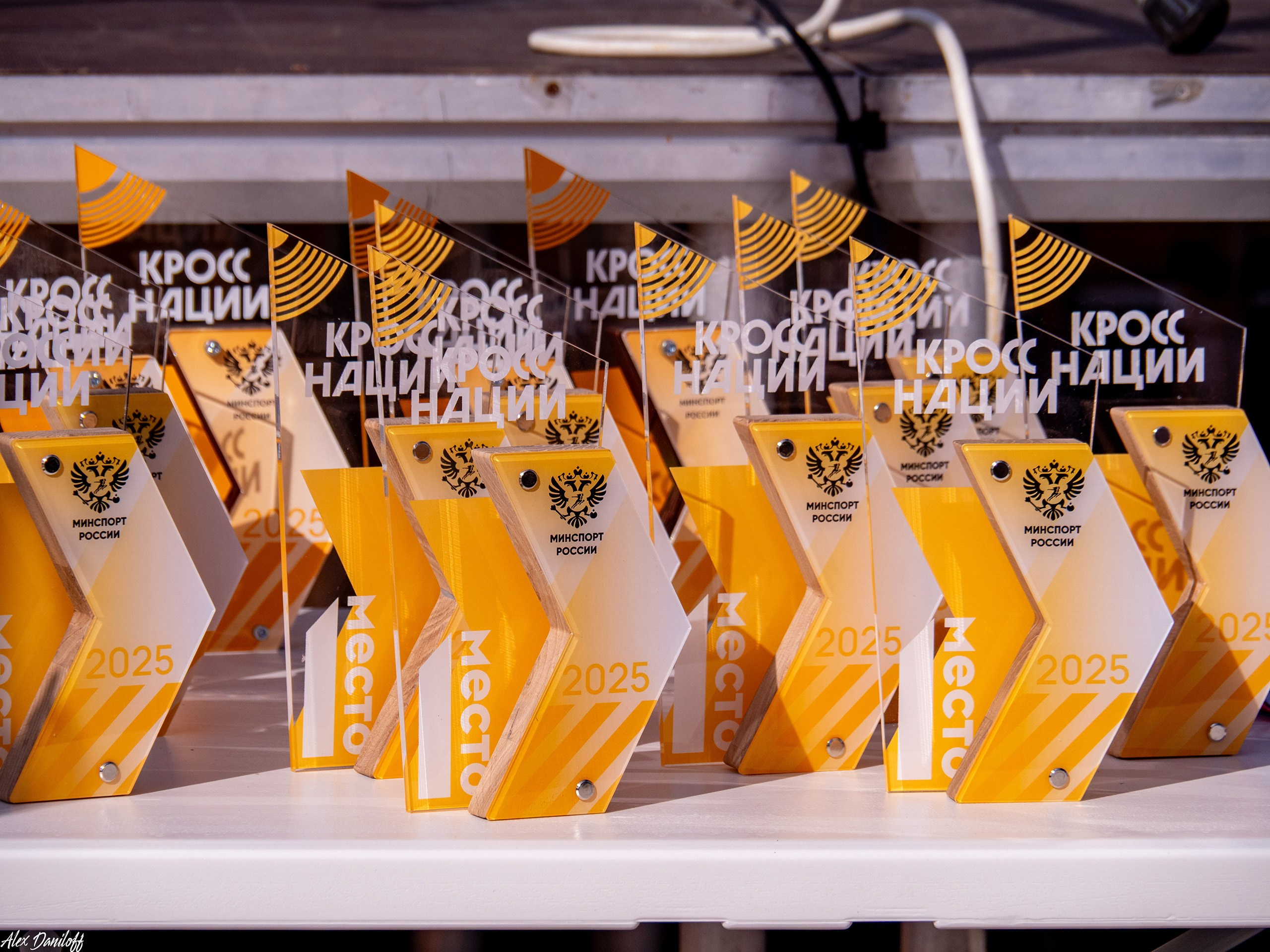 Кросс нации 25. Муром-Инфо. Новости культуры, образования, спорта в городе Муром