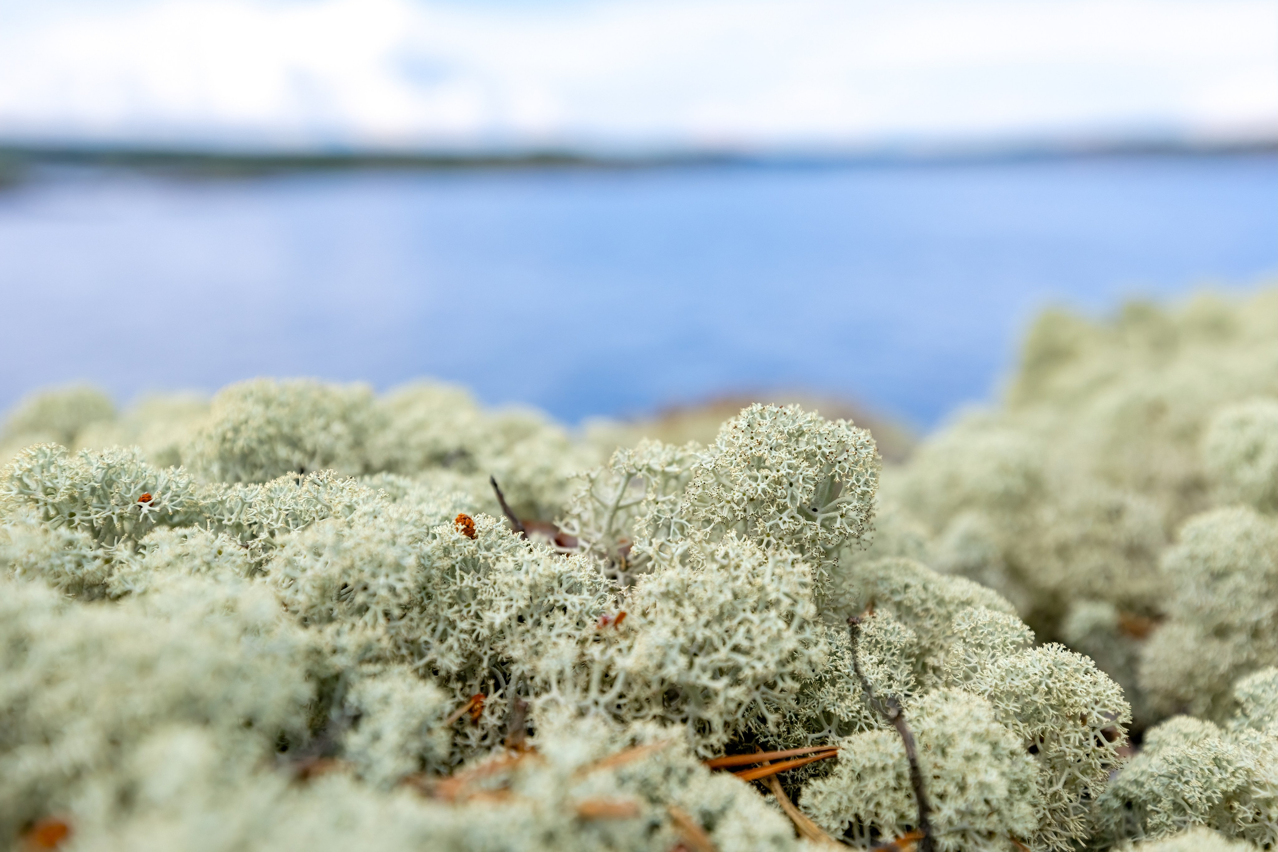 Ладожское озеро. Аэросъемка. Фото и Видео в Карелии. Алексей Фрилунд