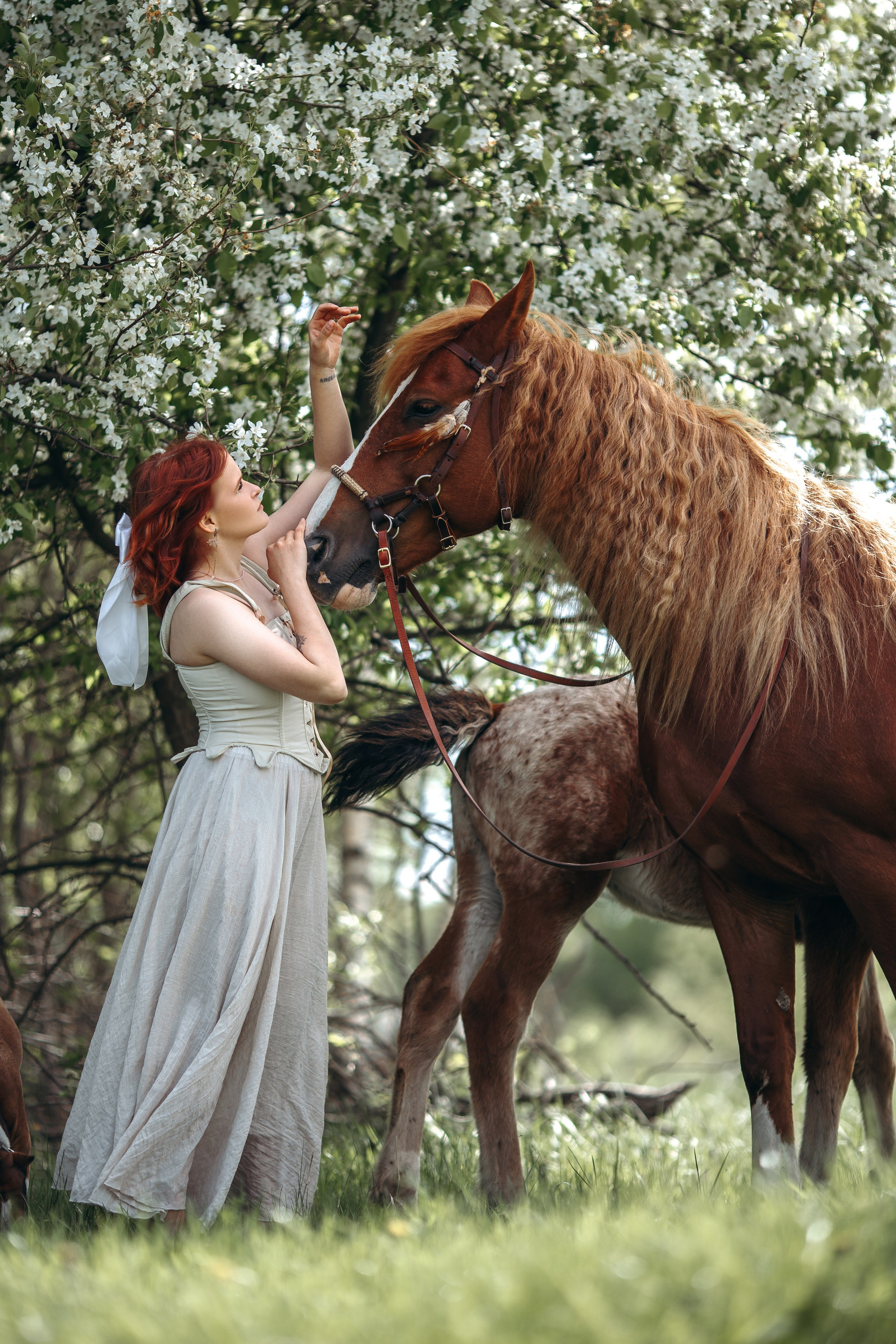 Весенние цветения. Анна Молчанова конный фотограф в Тюмени | фотосессии с лошадьми Тюмень
