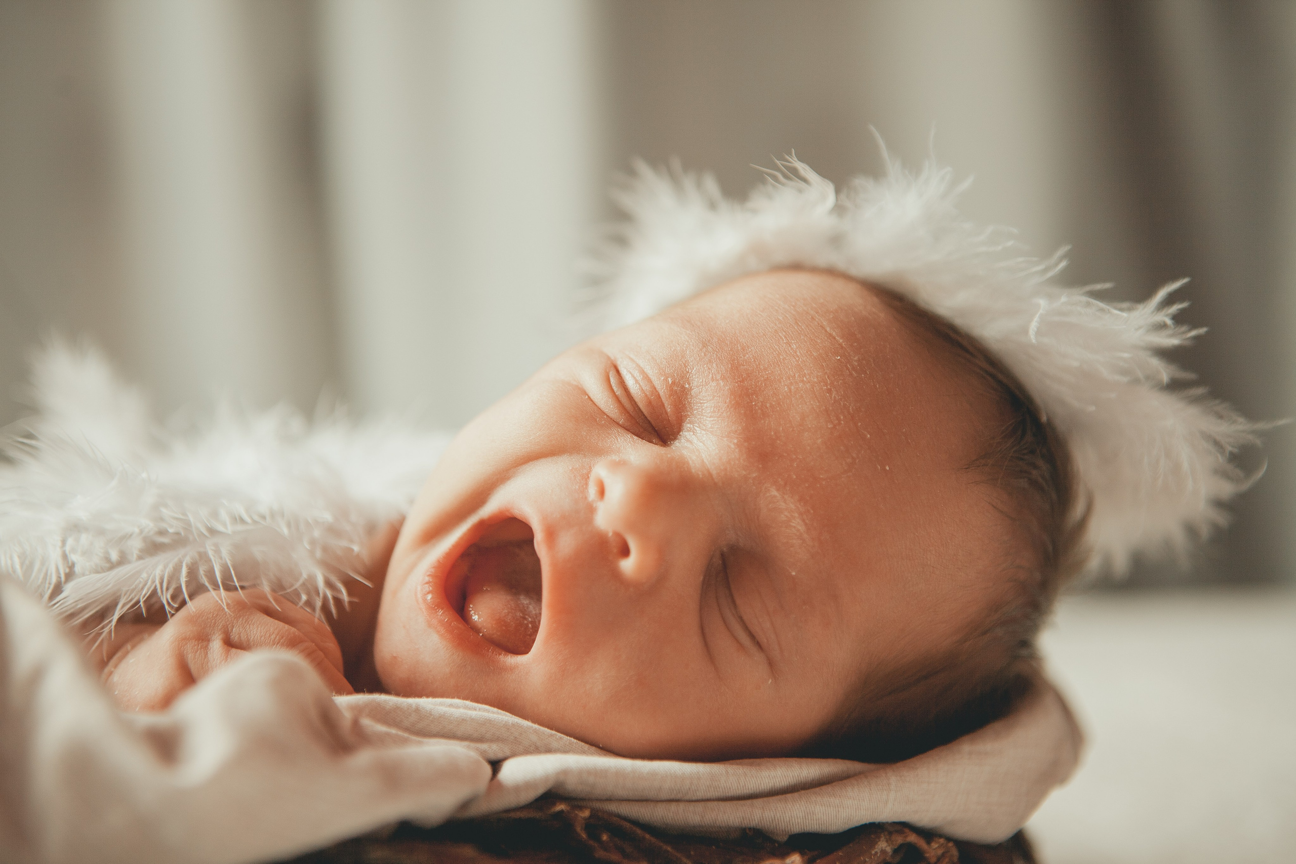 Гордей. Фотограф Ольга Ефремова