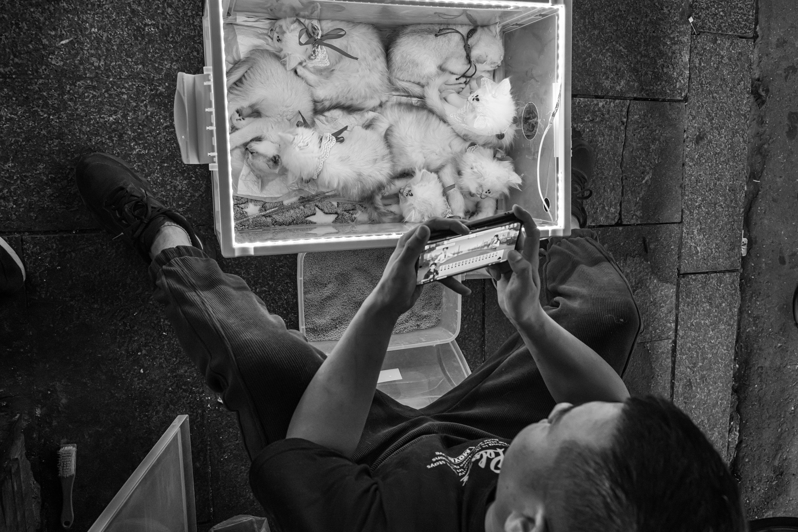 China. Three days — three cities. Beijing, Changsha, Shenzhen, 2024. Dimitri Bakhtadze photographer