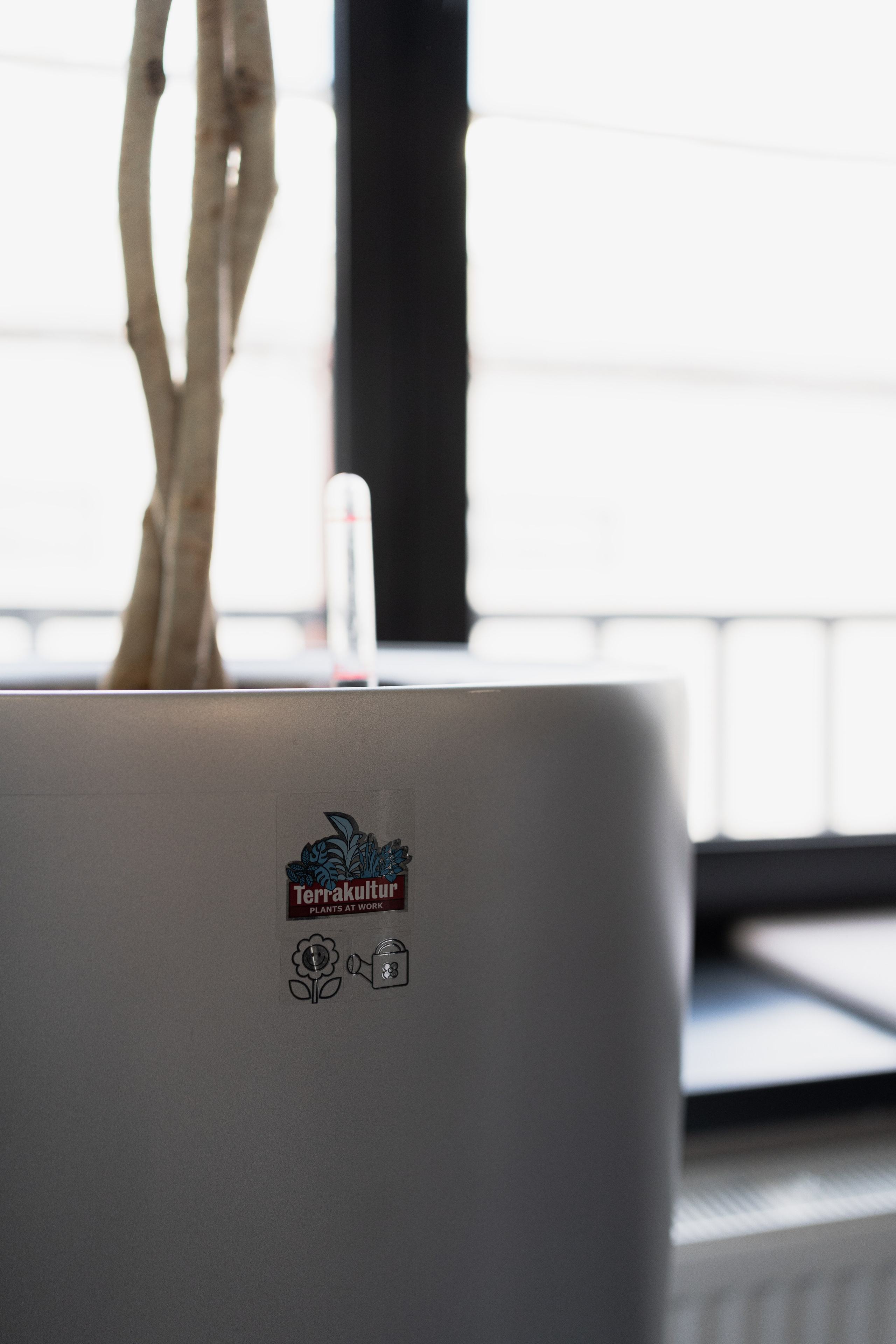 Terra. Елена Пашкевич, фотограф, Москва