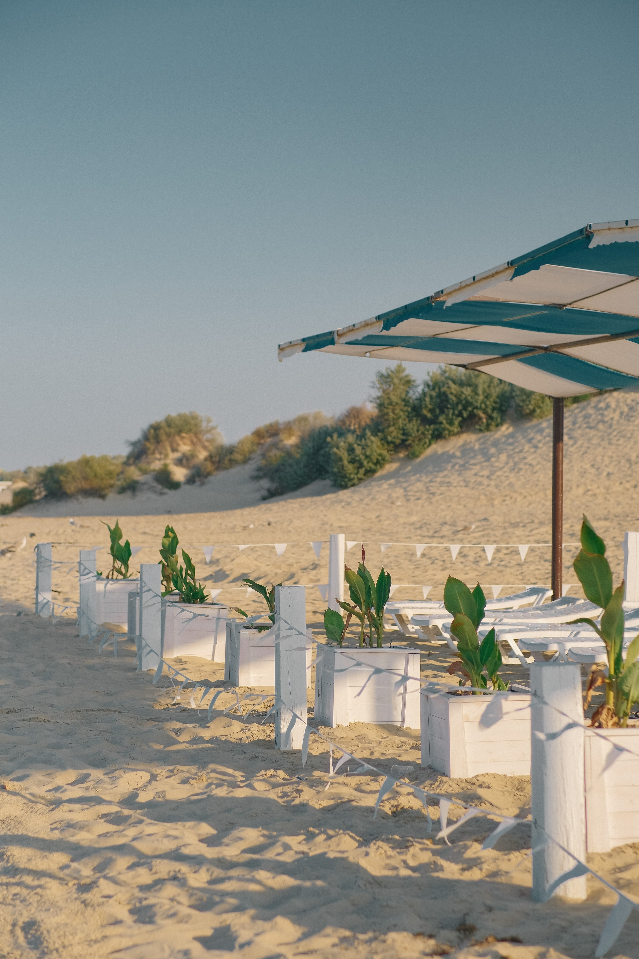 База отдыха Дюны золотые. Photographer and videographer for wedding in Italy: Rome, Milan, Venic