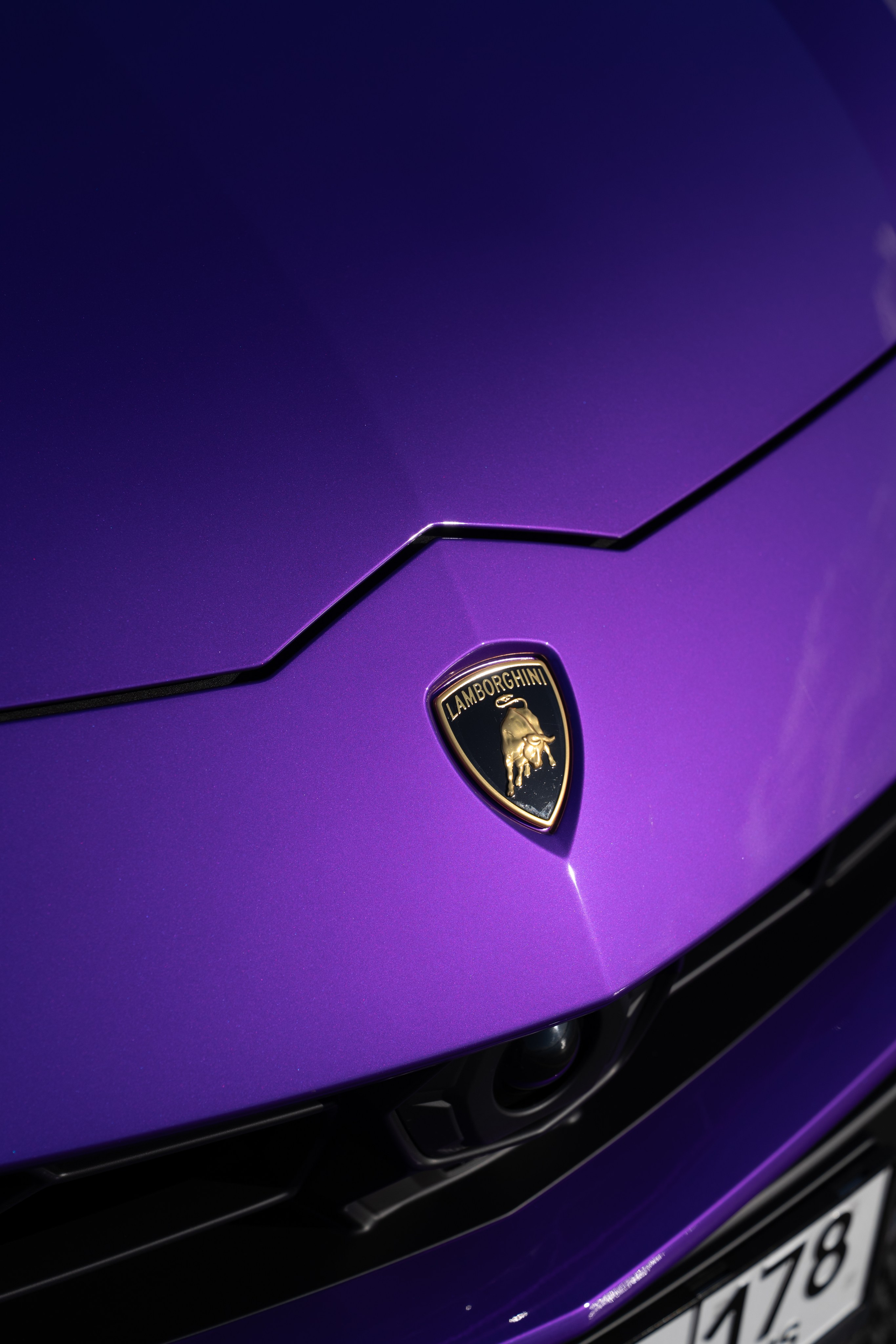 Lamborghini Urus. Фотограф в Санкт-Петербурге Мария Александрова