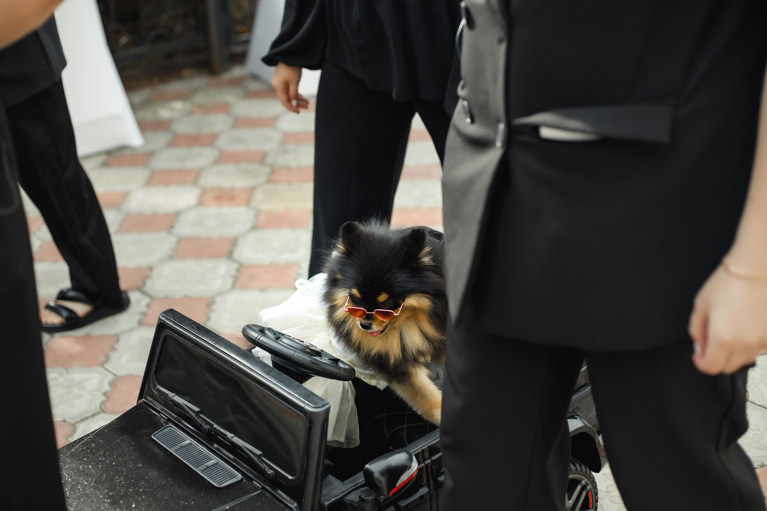 A|T. Свадебный и семейный фотограф в Саратове Анжела Борисова