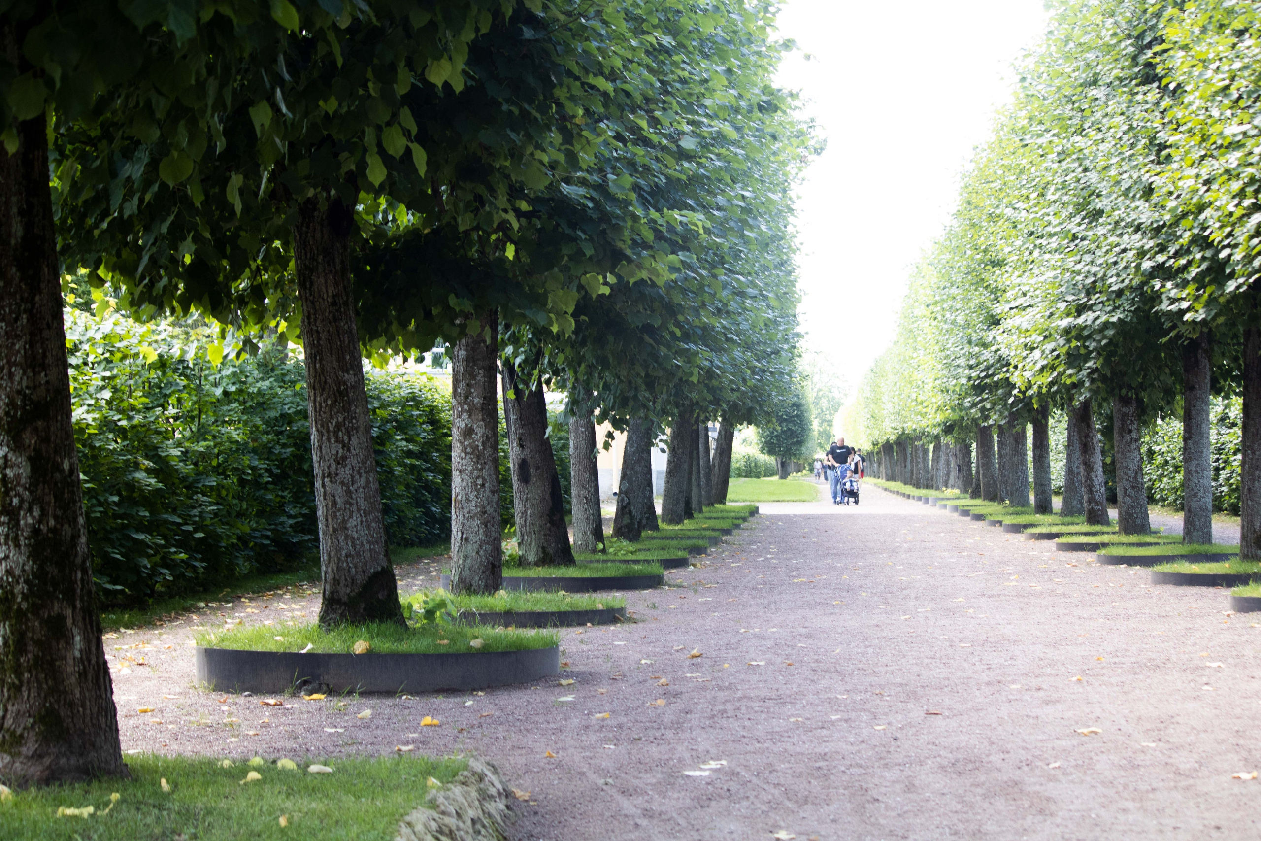 Верхний сад,  Петергоф