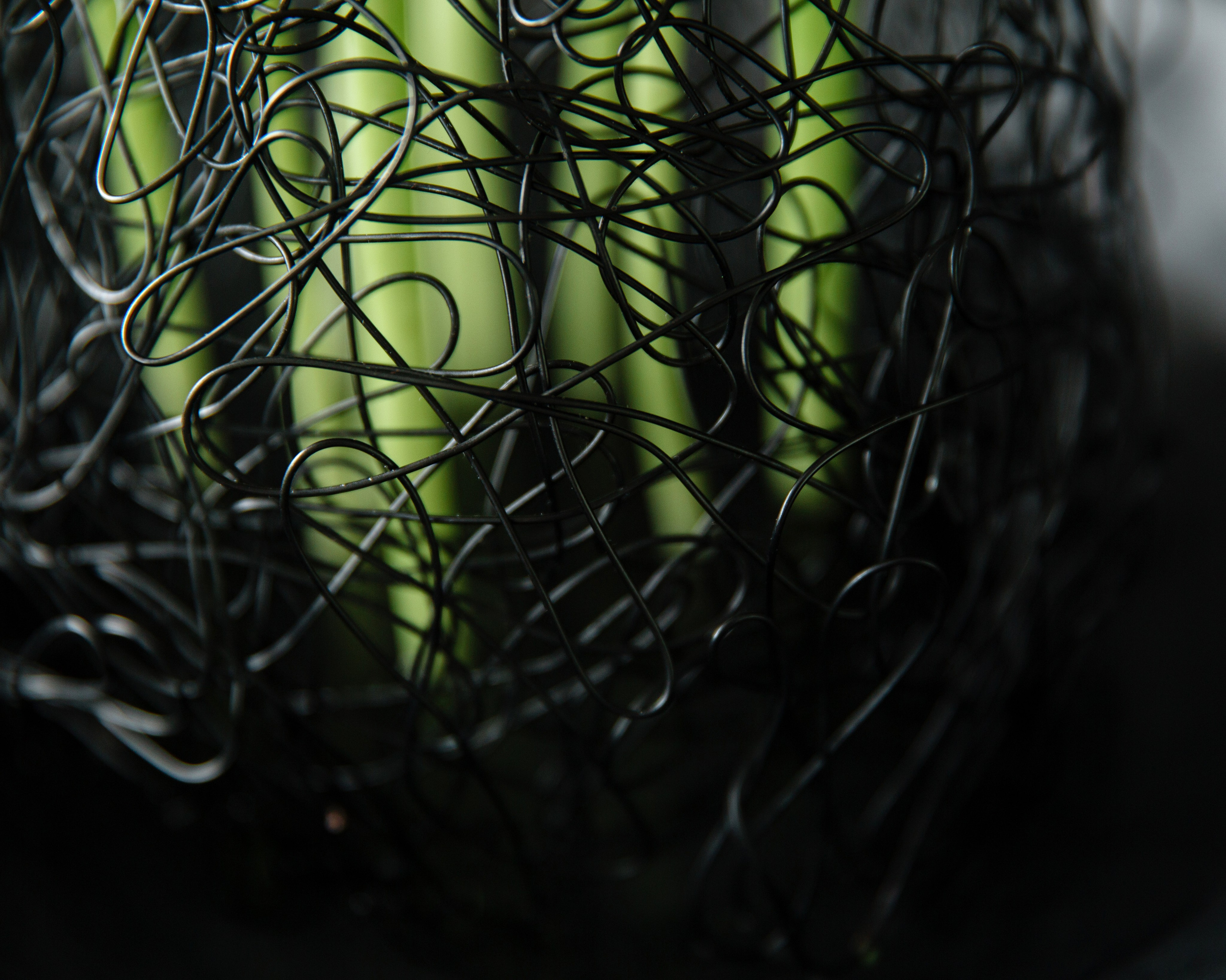 Denis. Lena Sorokina photographer, Astana, Kazakhstan