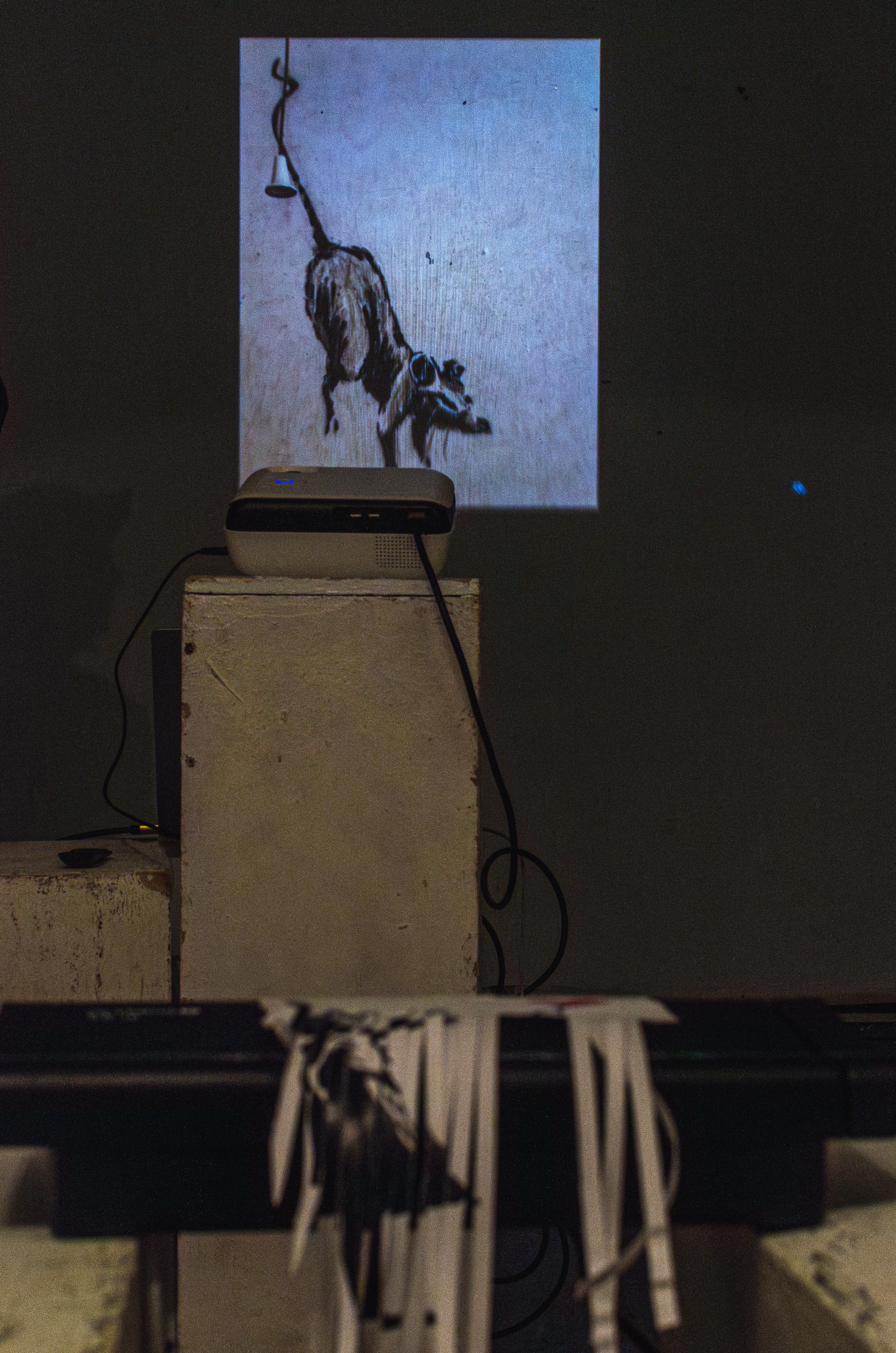 Banksy exhibition Belgrade. Event photographer Alena Iurchenko