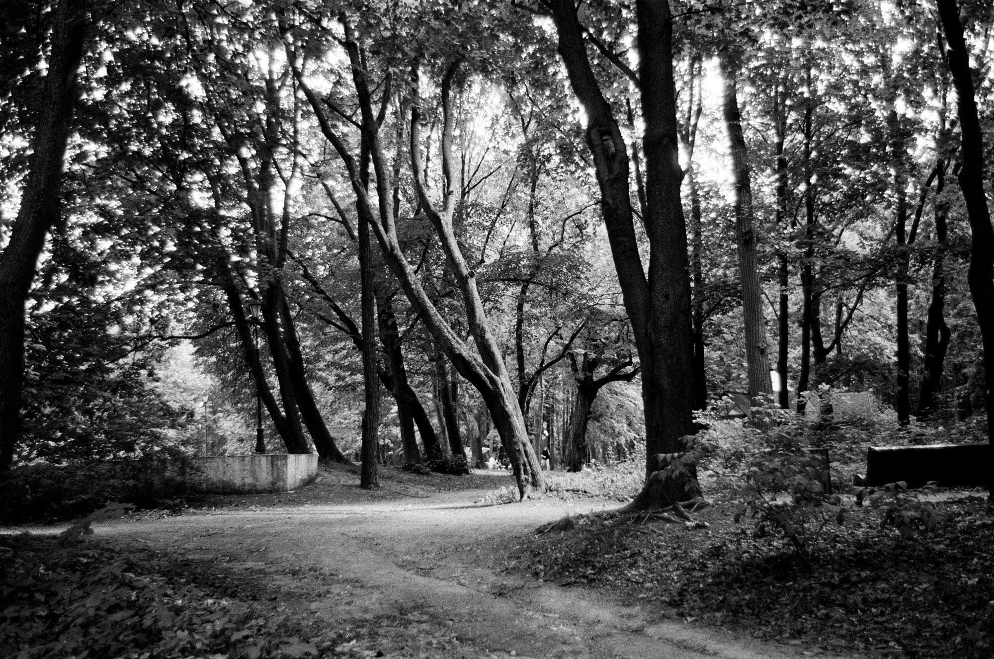 Borovsky Park. Another person Pavel Potseluev. A photographer in 2025