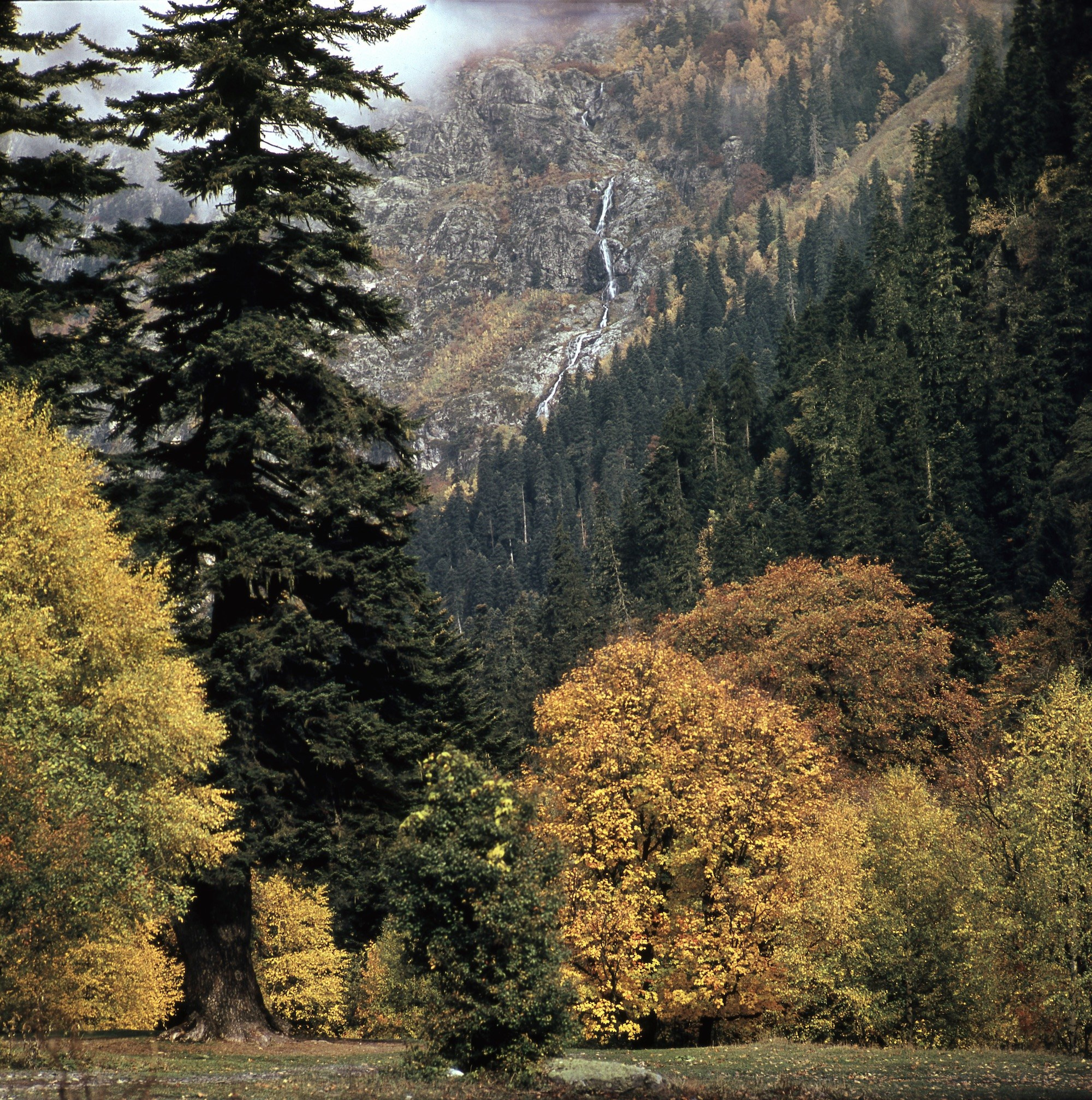 Кавказ. ВАДИМ ГИППЕНРЕЙТЕР — ВЕЛИКИЙ ФОТОГРАФ ЗЕМЛИ РУССКОЙ