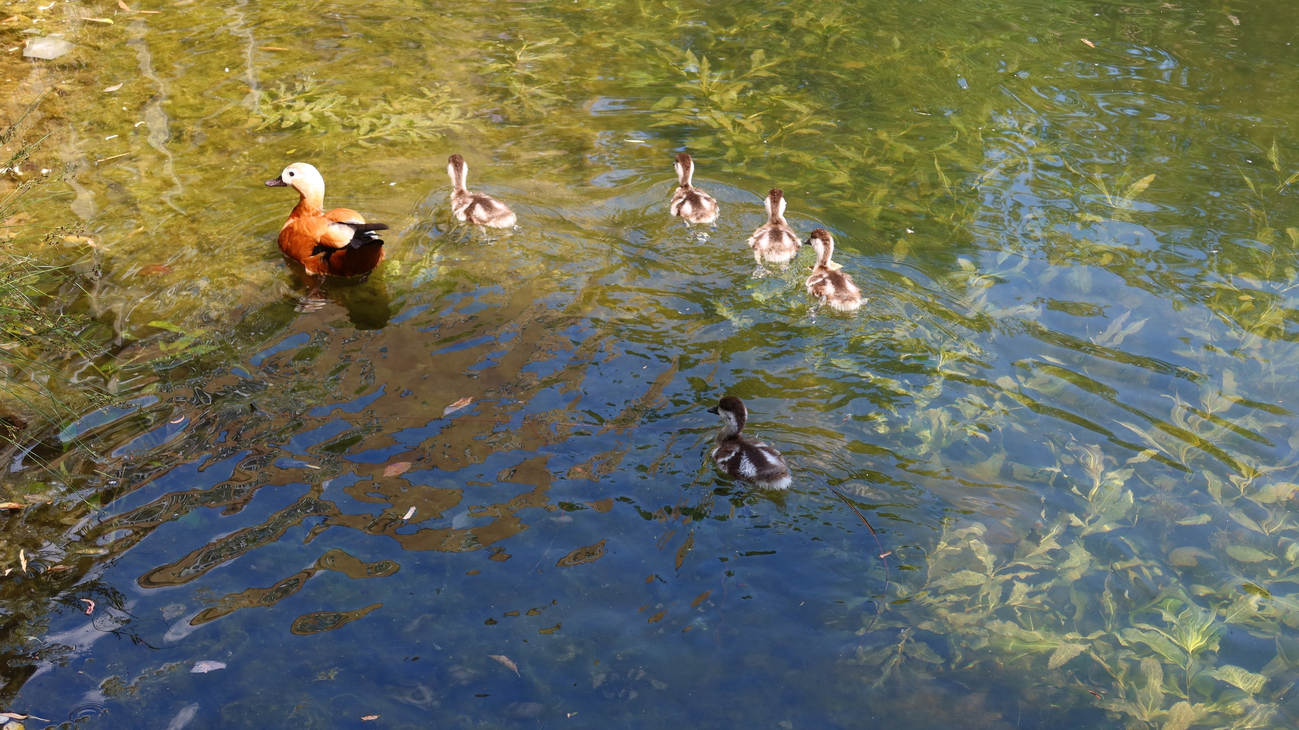 Антроповский сквер. Улица, люди, жизнь…