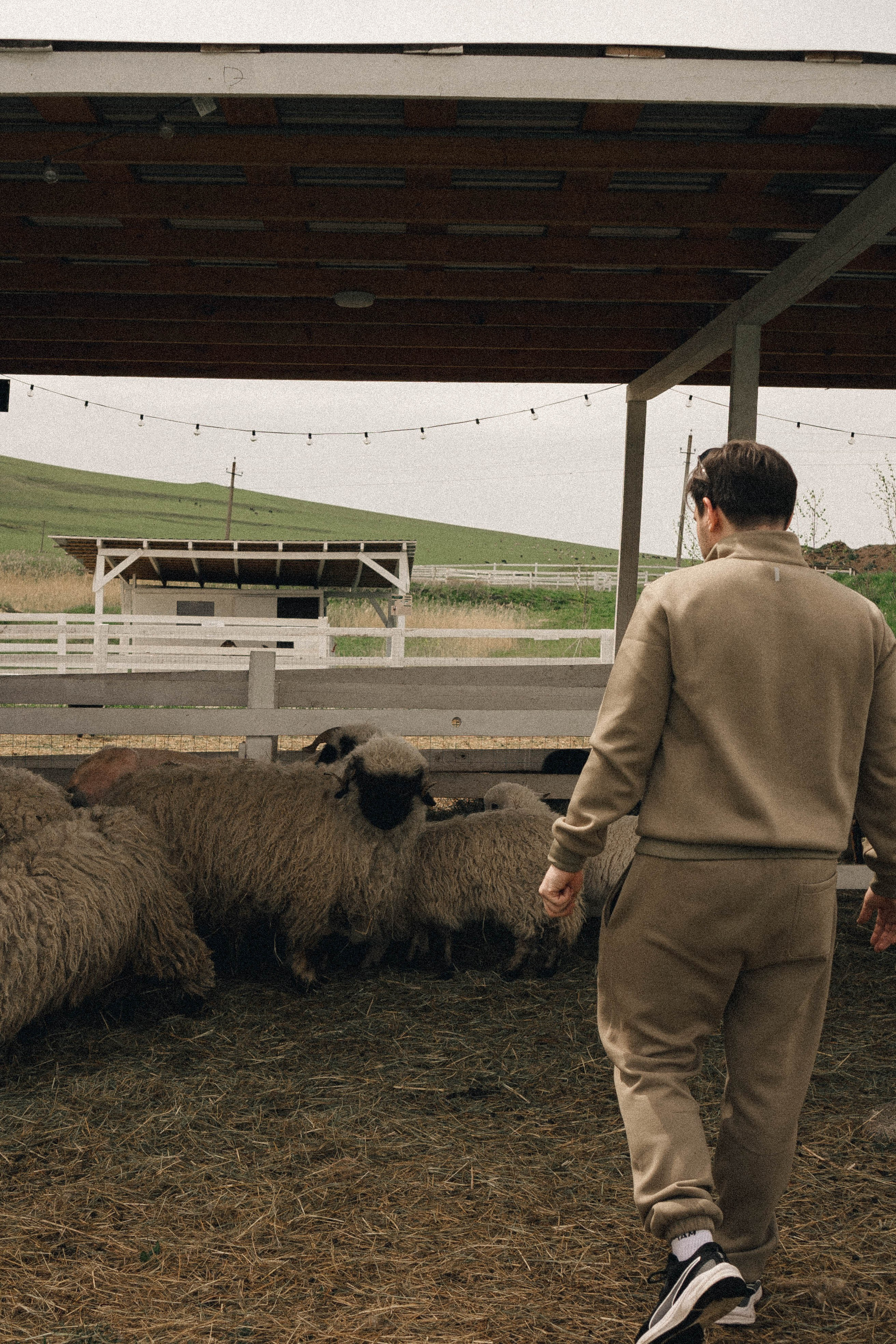 Ферма Альпак. Профессиональный фотограф, Санкт-Петербург — Виктория Богомолова