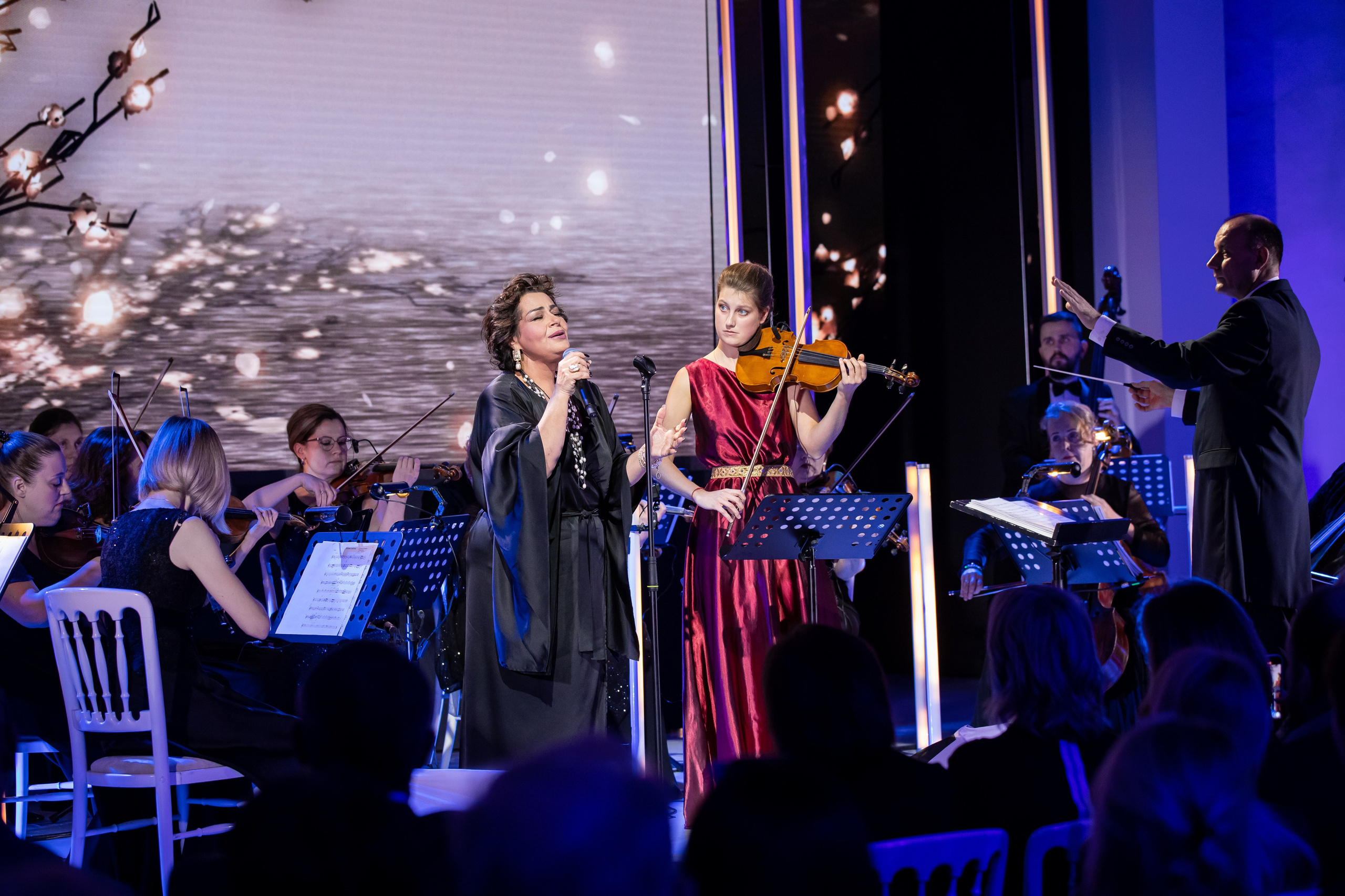 Concerts. Arseniya Sibilyova | violin