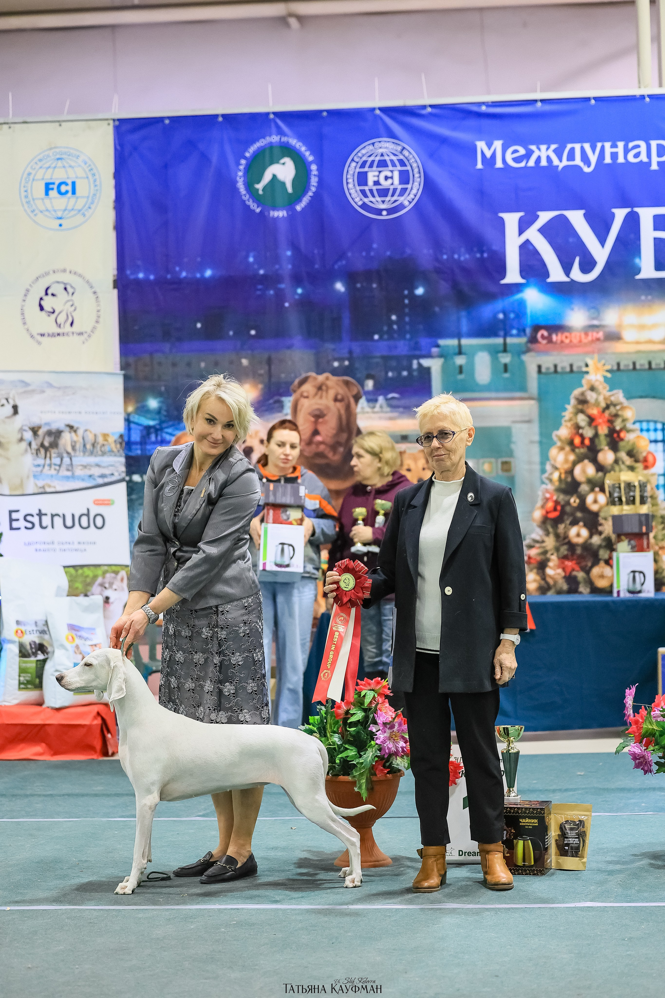 6-7.12.25 — 1-4 Национальные выставки собак в Новосибирске (2х рейтинговые). Фотограф Анималист из Новосибирска Татьяна Кауфман