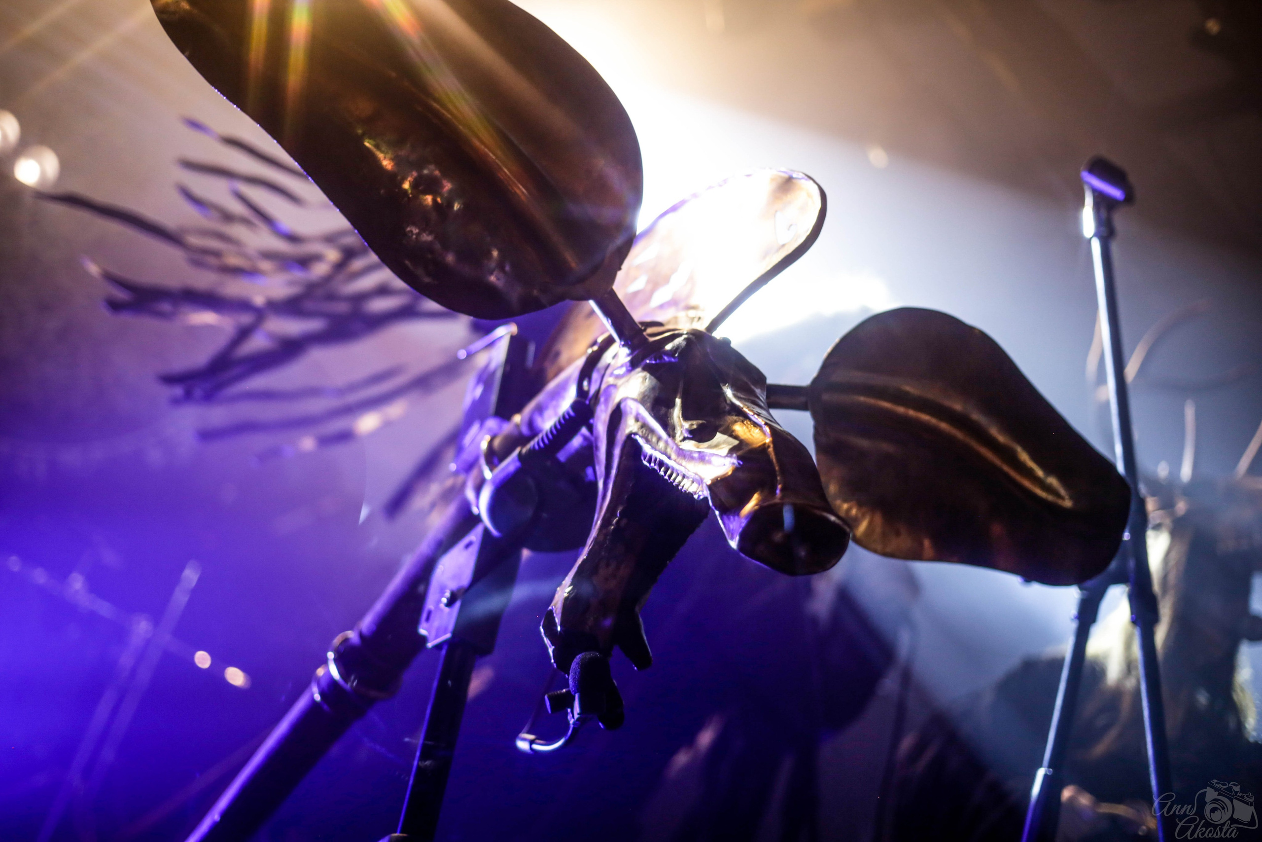 Студийная, репортажная и пленерная съёмка. Анна Акоста: фотограф в Санкт-Петербурге и Таганроге