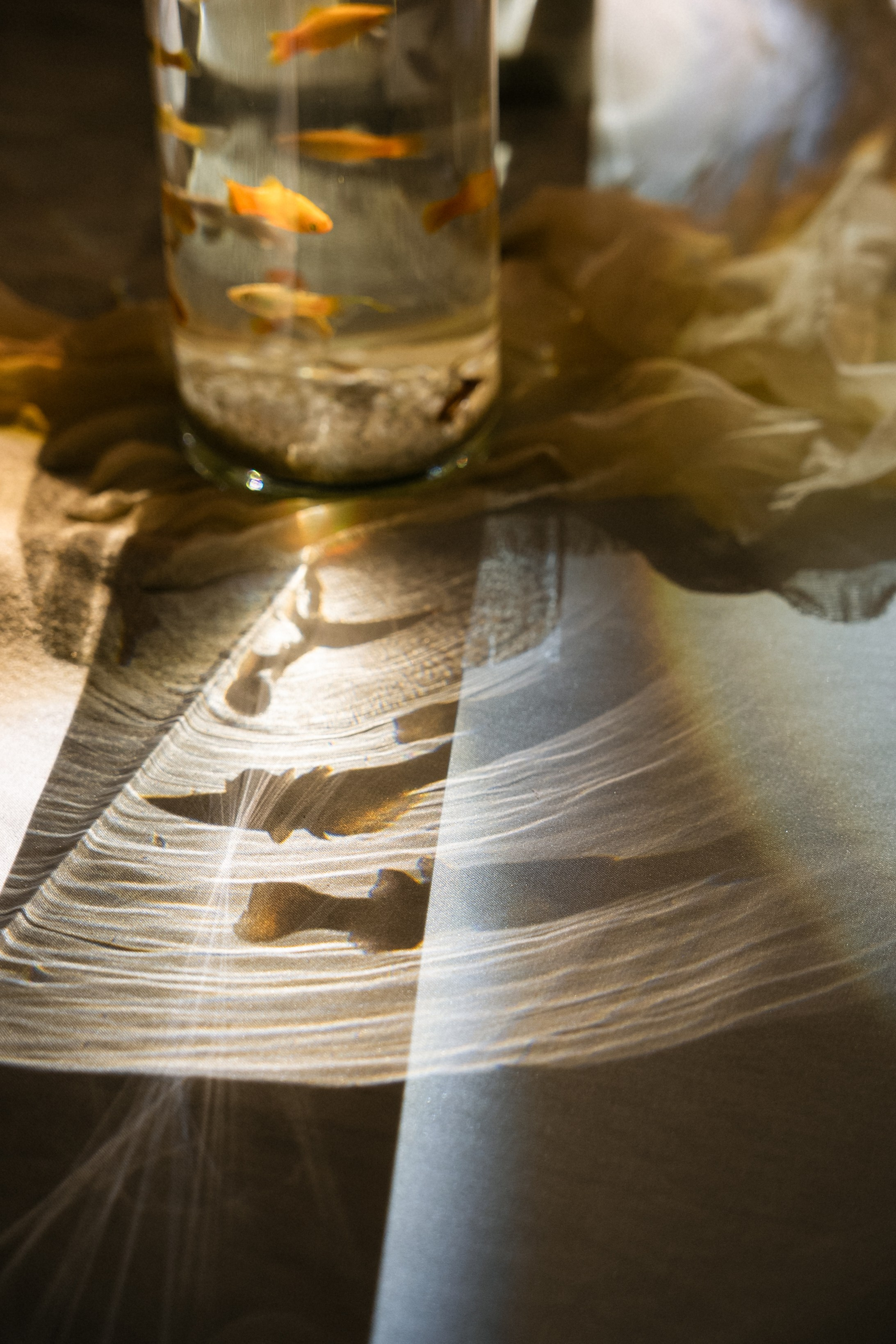 Алина+Александр. Анонс. Семейный и портретный фотограф в Саратове Сахарова Маша