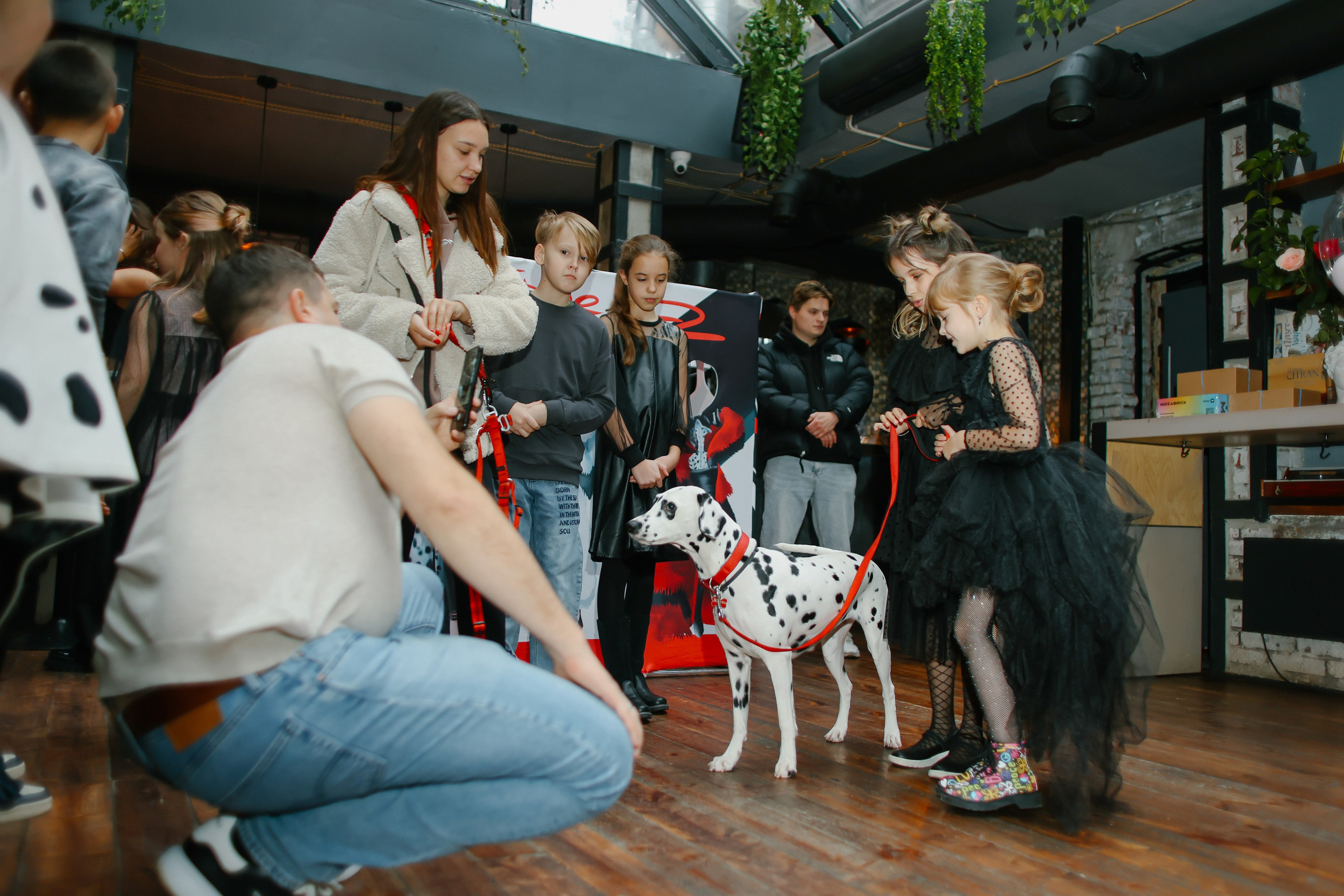 Crualle. Главная