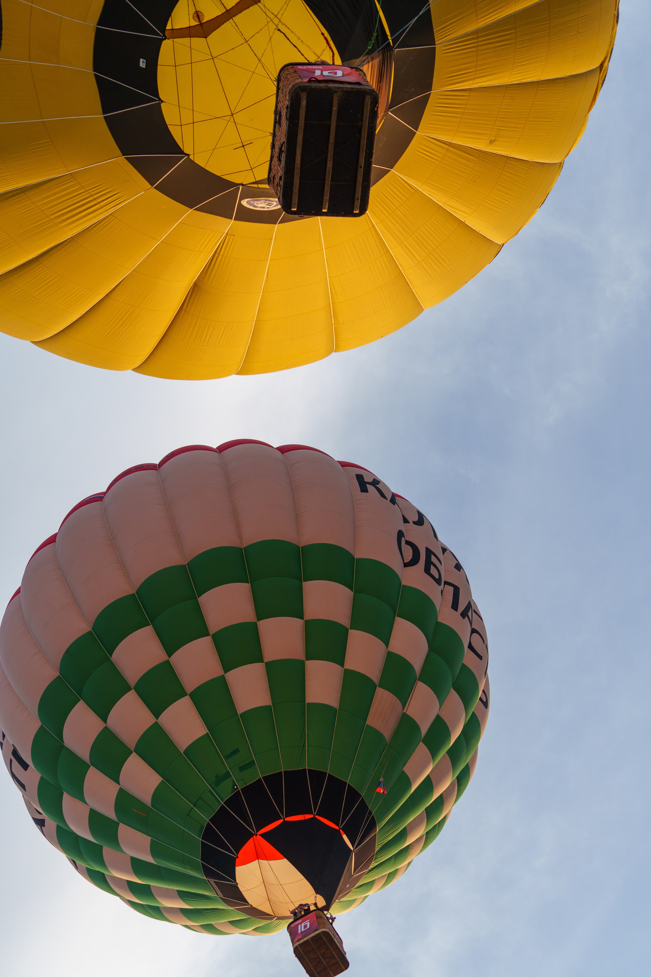 Фиеста Аэростатов. Sunnyman